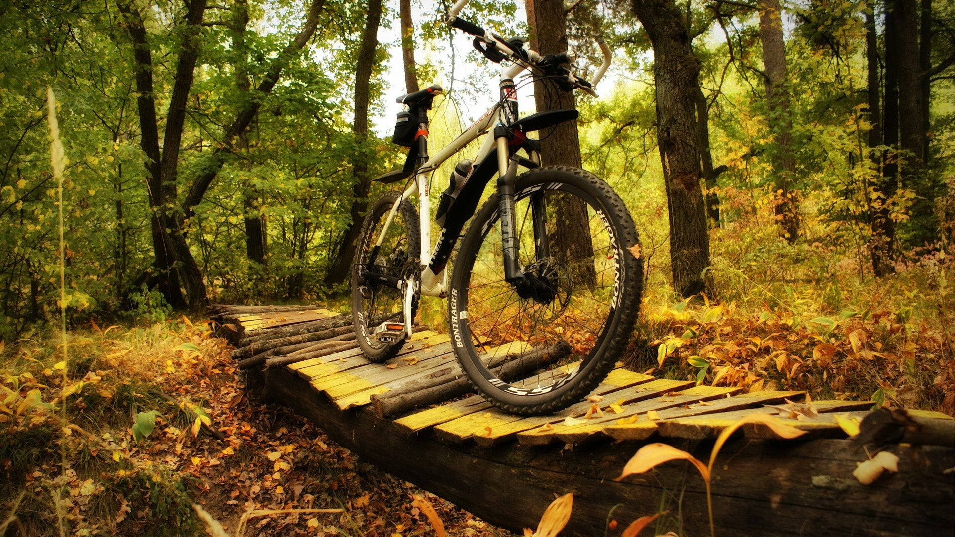 mountain bike, rustic wooden bridge, sunlit autumn forest, Full HD Desktop Wallpaper