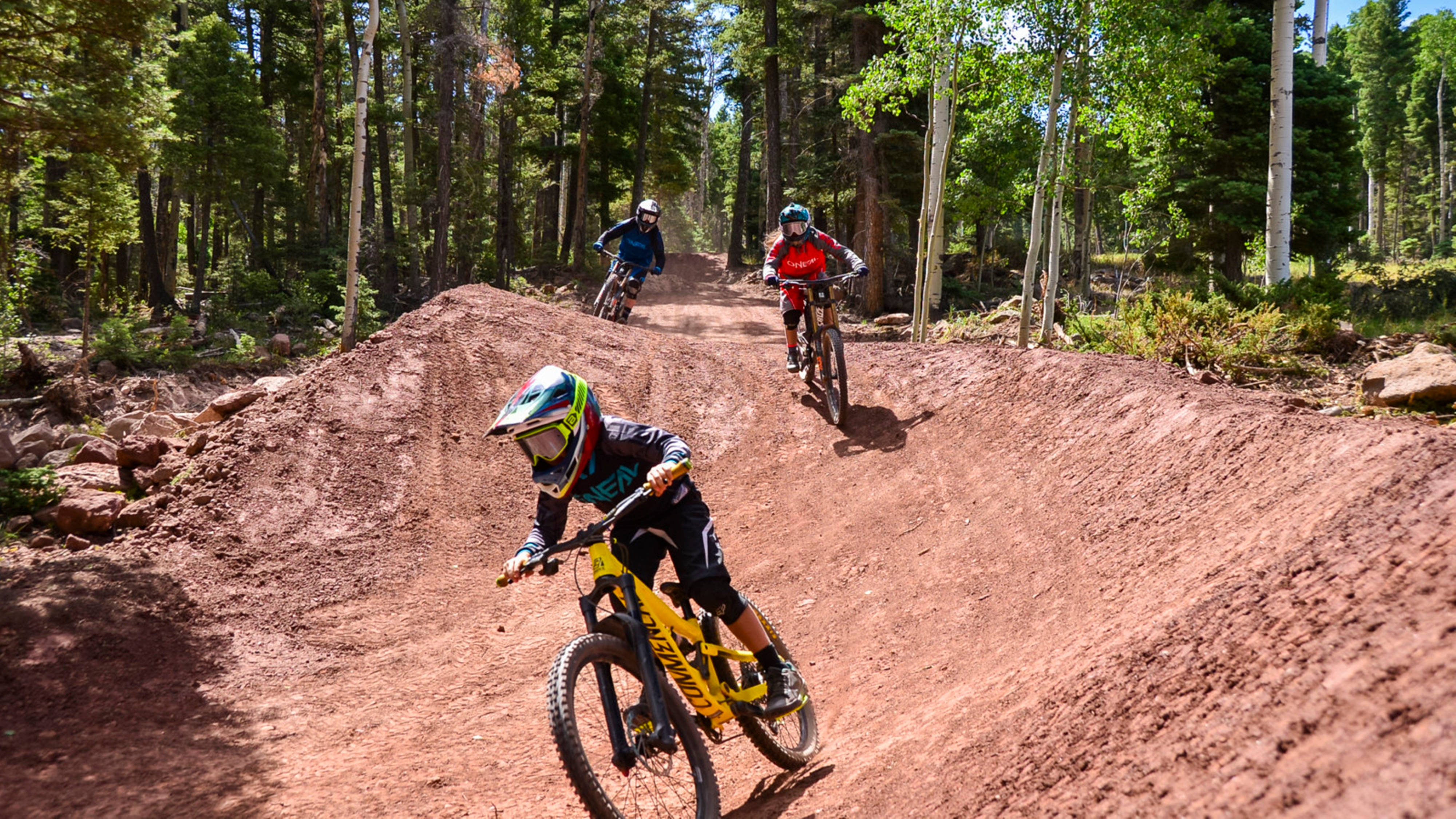 4K Mountain Bike, dirt trail, dense pine forest, 4K Desktop Wallpaper