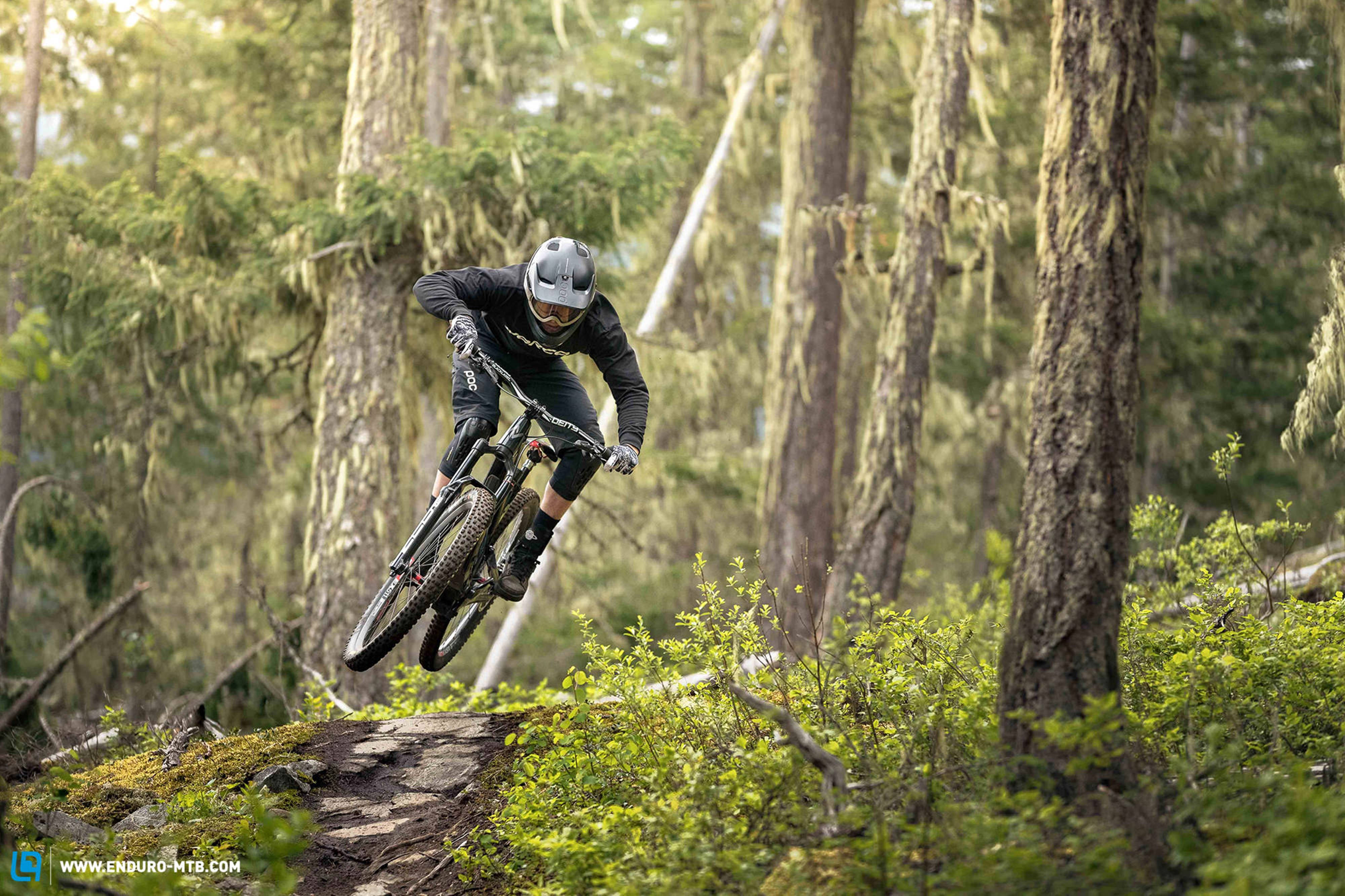 easy steezy 4k mountain bike trick, mossy forest trail, sunlight filters through tall trees, 4K Desktop Wallpaper