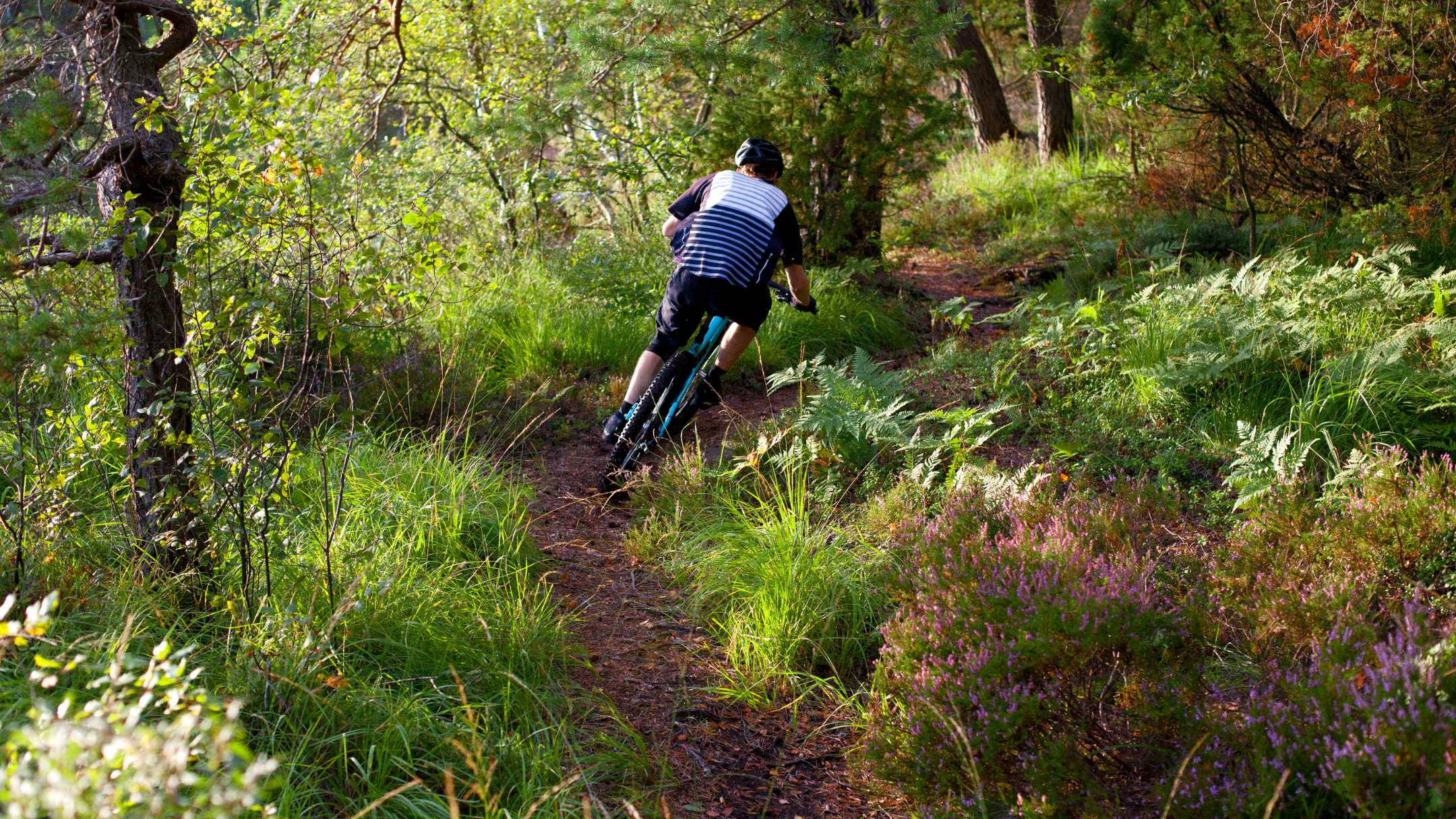 man, mountain biking, downhill trail, Full HD Desktop Wallpaper