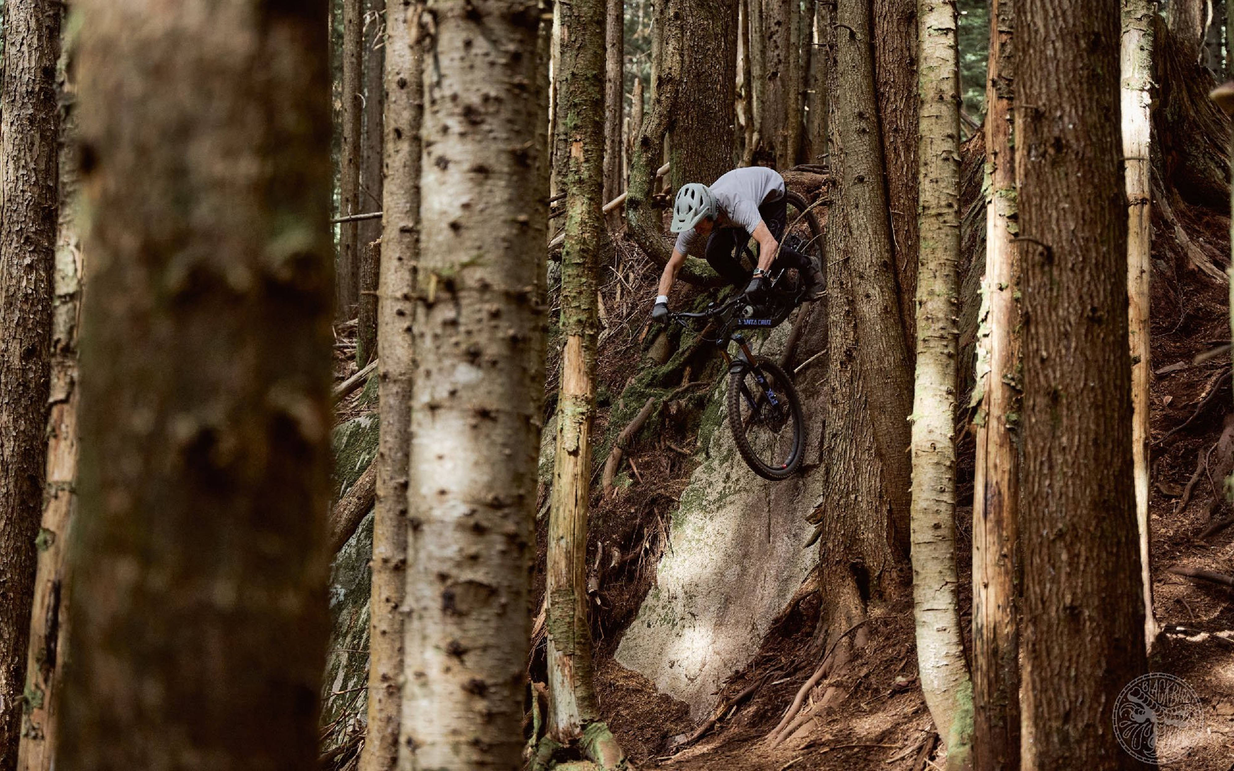 steep downhill, 4K mountain bike trail, forest trail, 4K Desktop Wallpaper