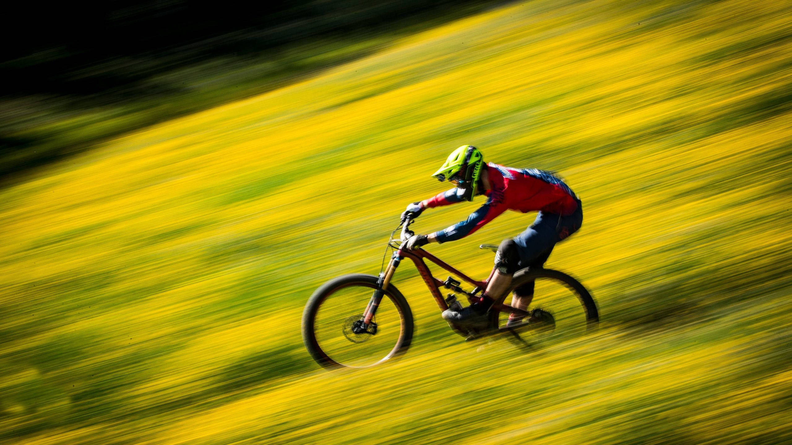 full speed mtb flower farm ride, mountain biker, bright gear, 2K Desktop Wallpaper