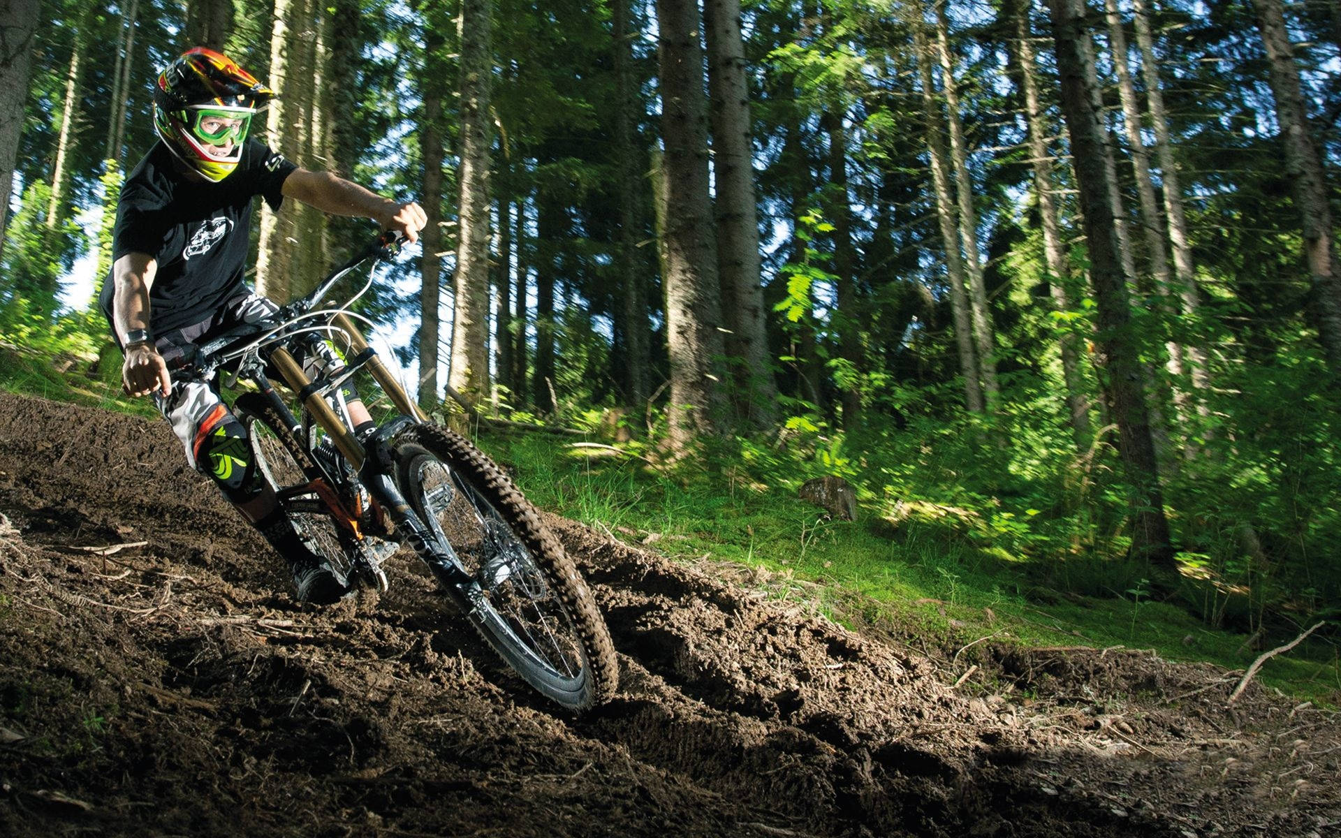 mountain biker, muddy forest trail, tall trees, Full HD Desktop Wallpaper