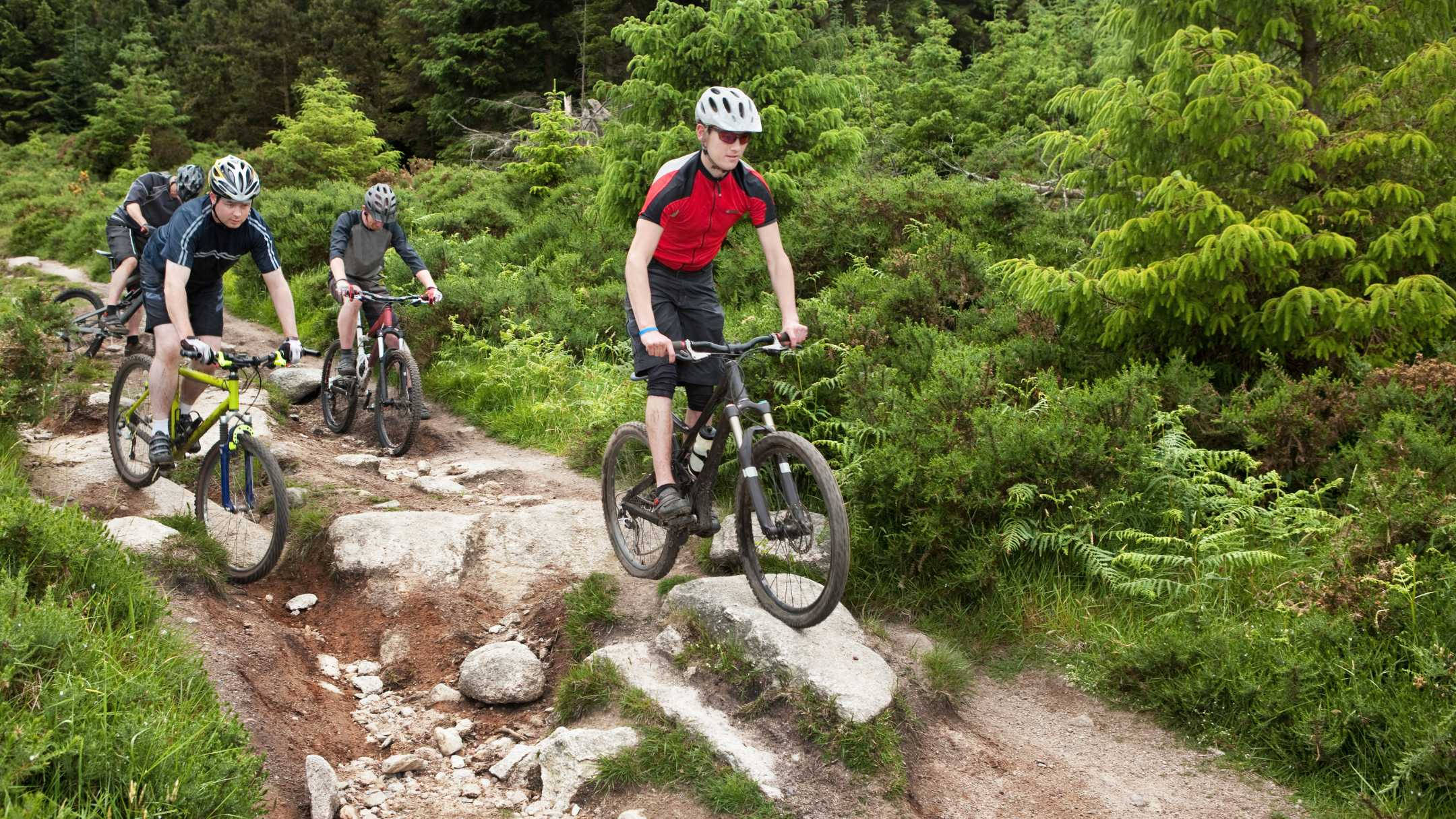 mountain bikers, rocky forest trail, dense green trees, Full HD Desktop Wallpaper