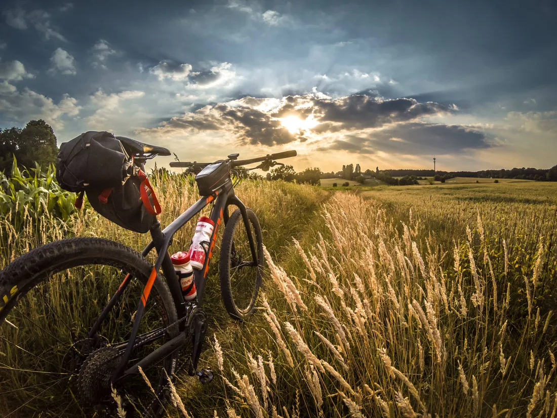 Mountain Biking