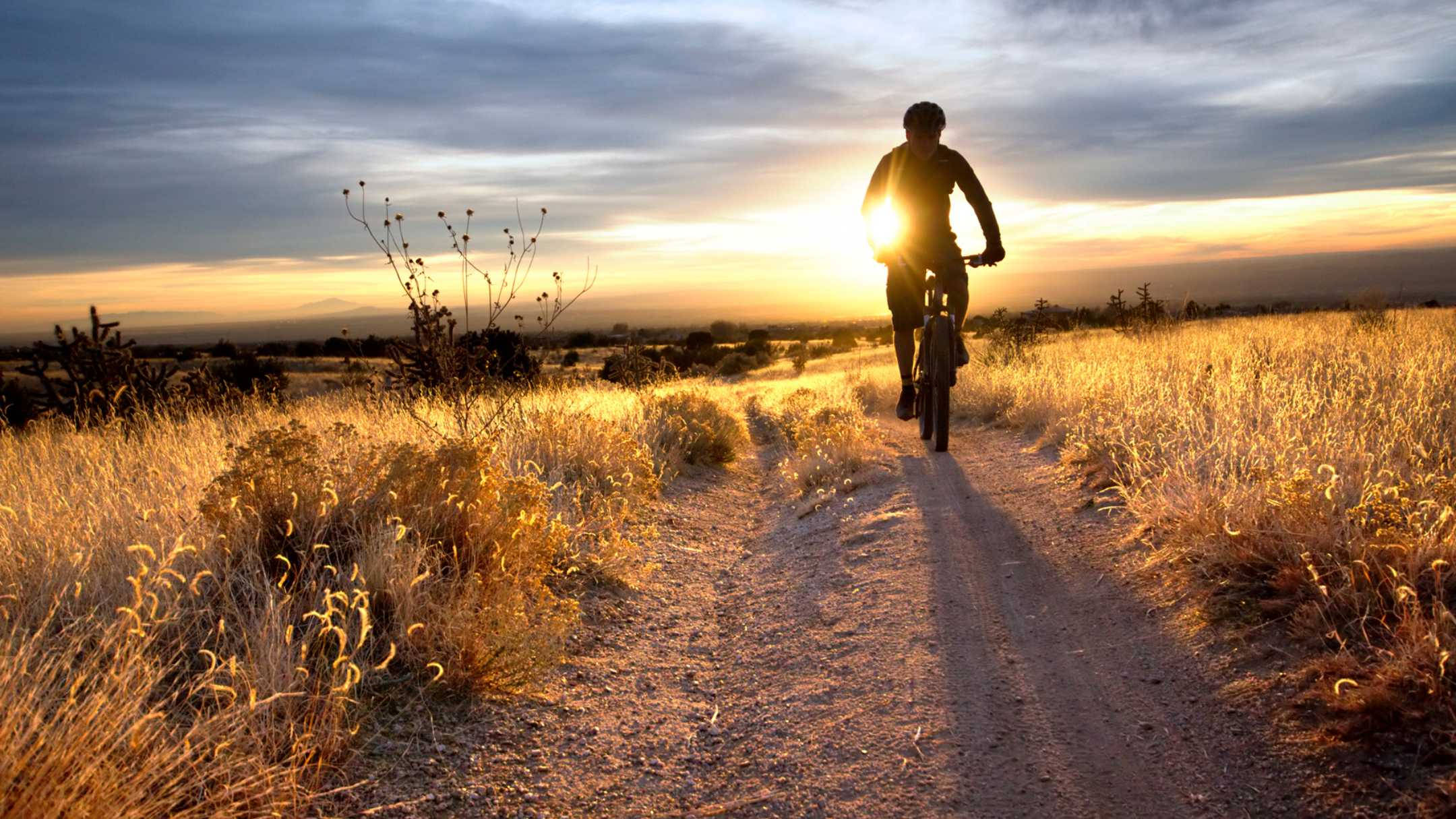 mountain biking, sunset trail, golden grasslands, Full HD Desktop Wallpaper