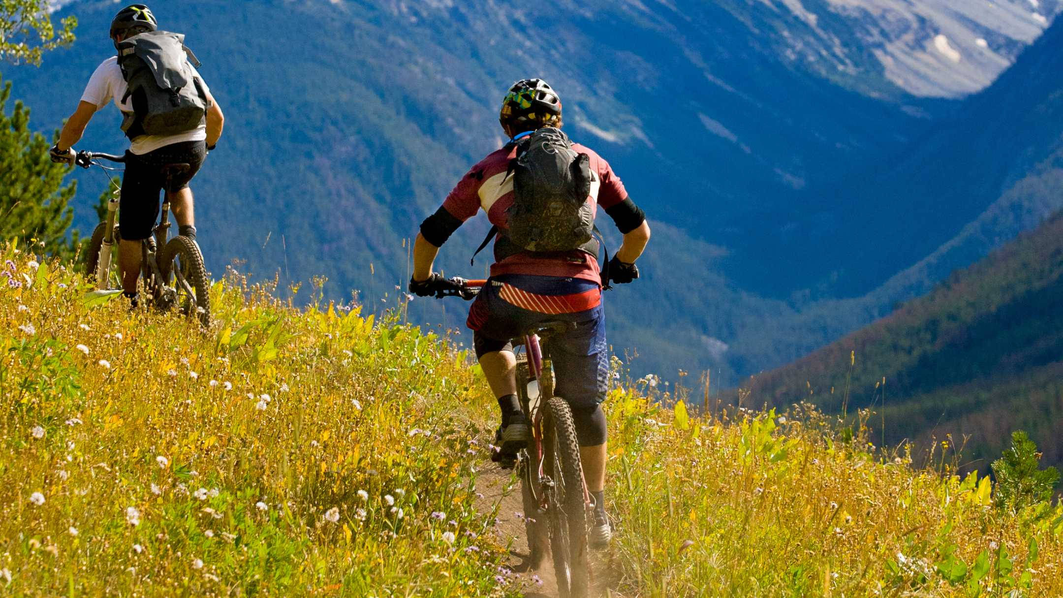 mountain biking, hillside terrain, sunlit meadow, Full HD Desktop Wallpaper