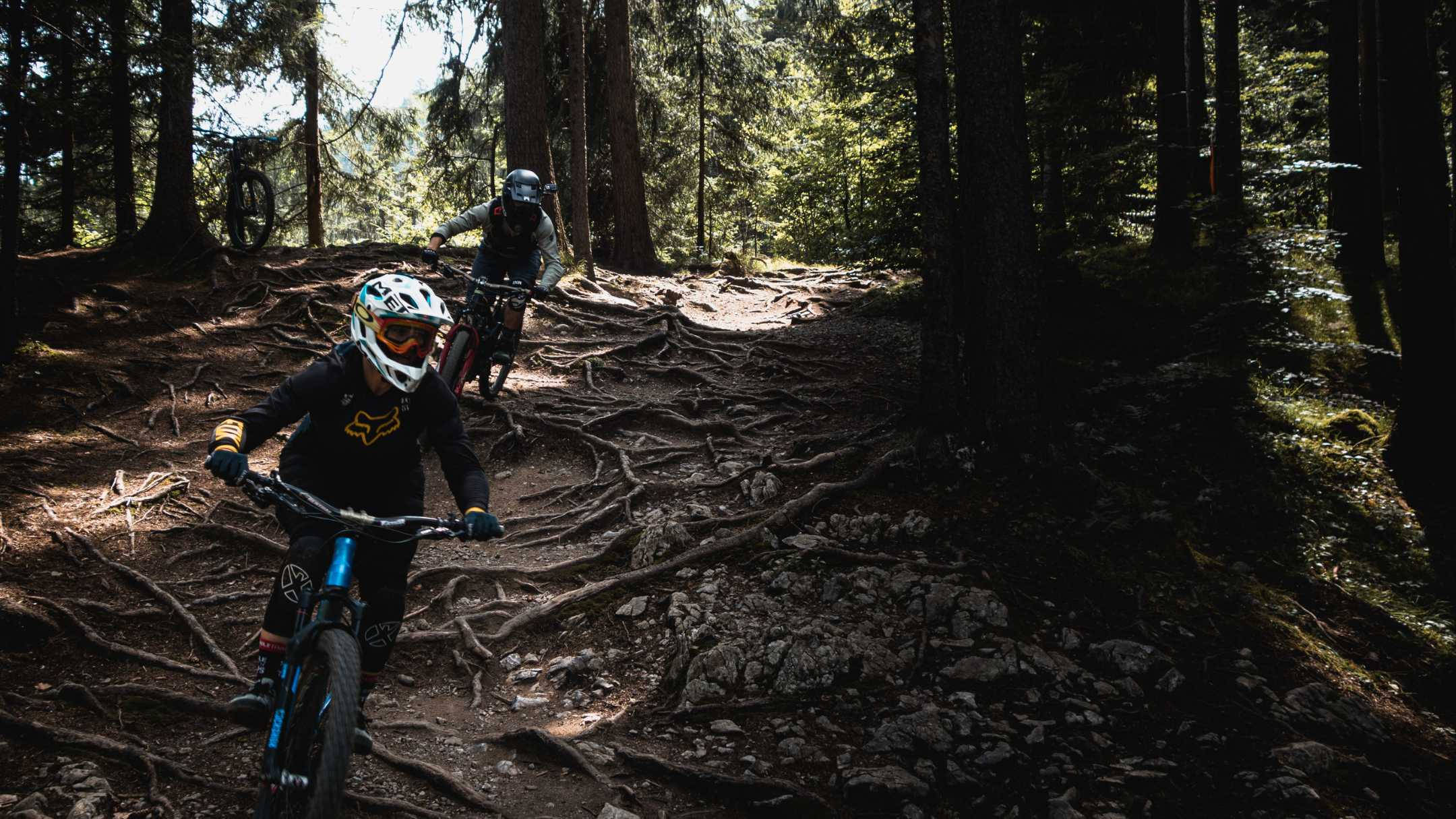 jungle mountain biking, rainforest, root-choked forest trail, Full HD Desktop Wallpaper