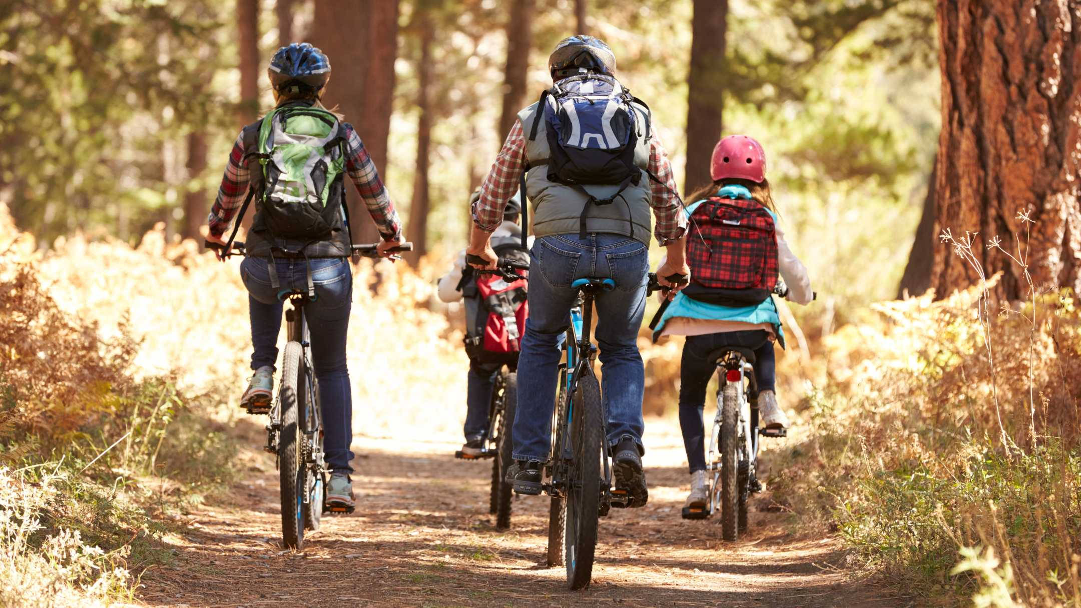 family of four, sunlit forest trail, tall trees, Full HD Desktop Wallpaper