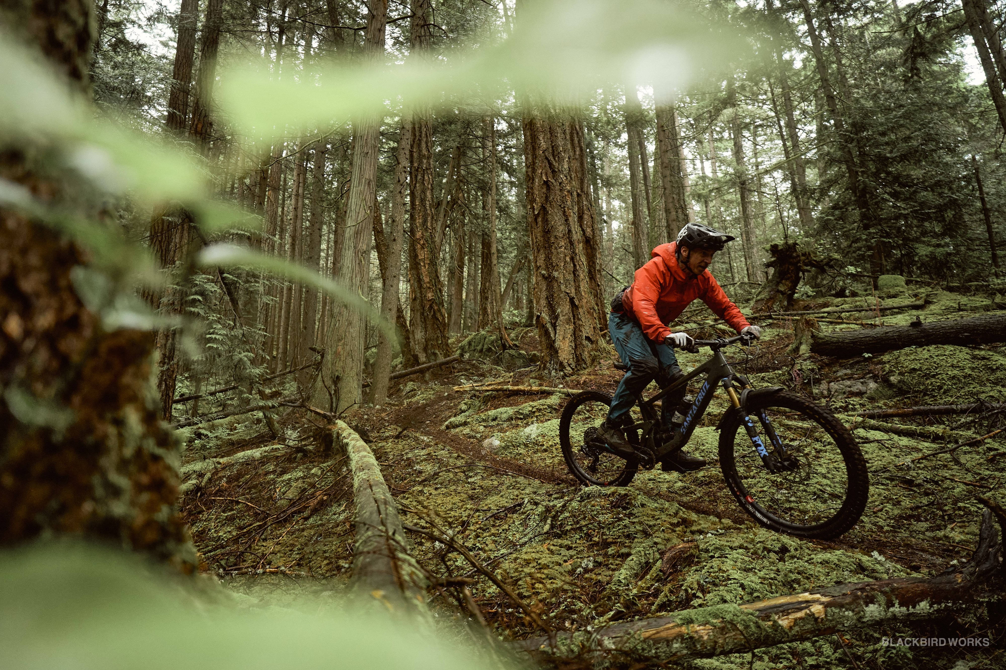 gloomy, 4K, mountain bike ride, 4K Desktop Wallpaper