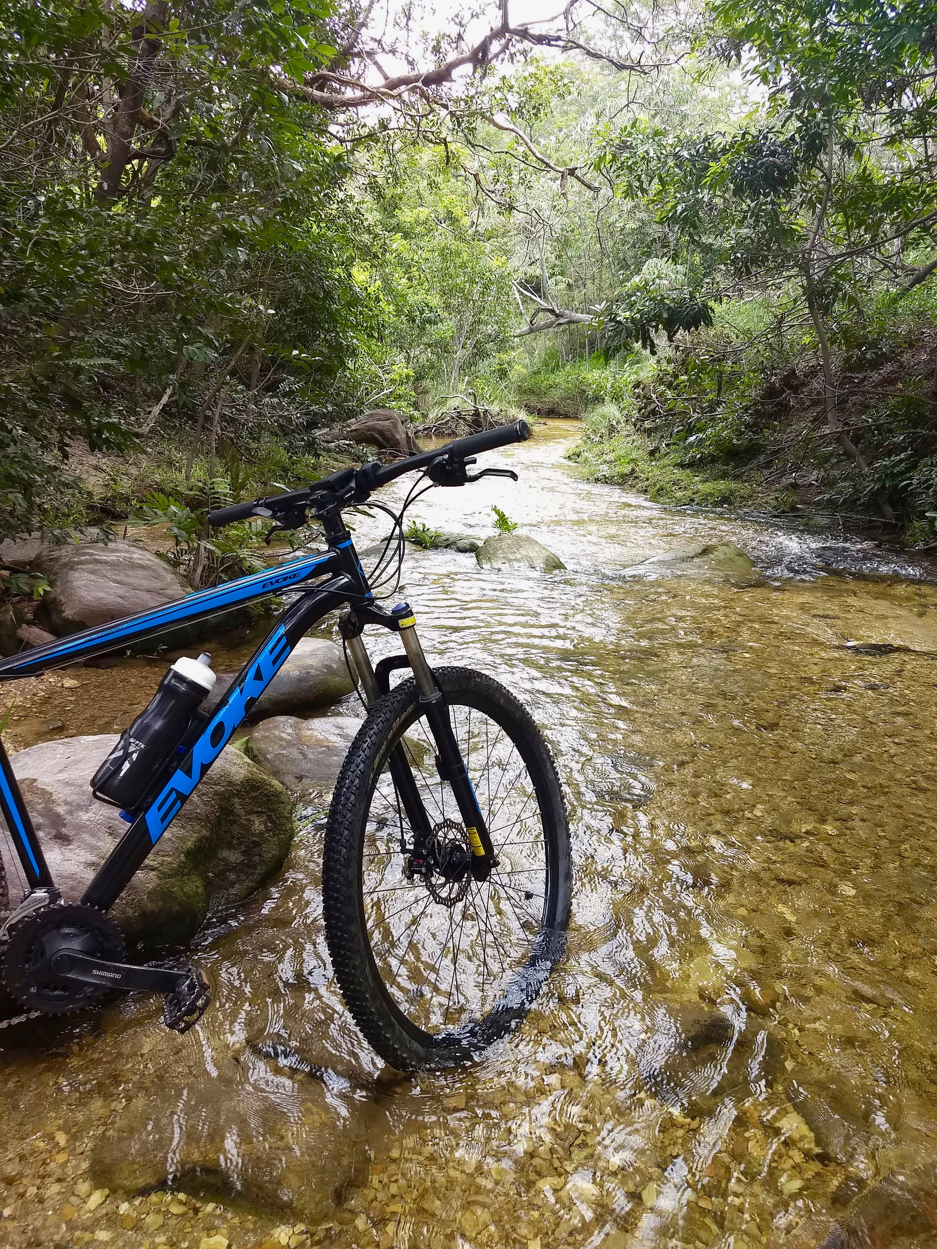 mountain bike, stream, forest stream, 4K Phone Wallpaper