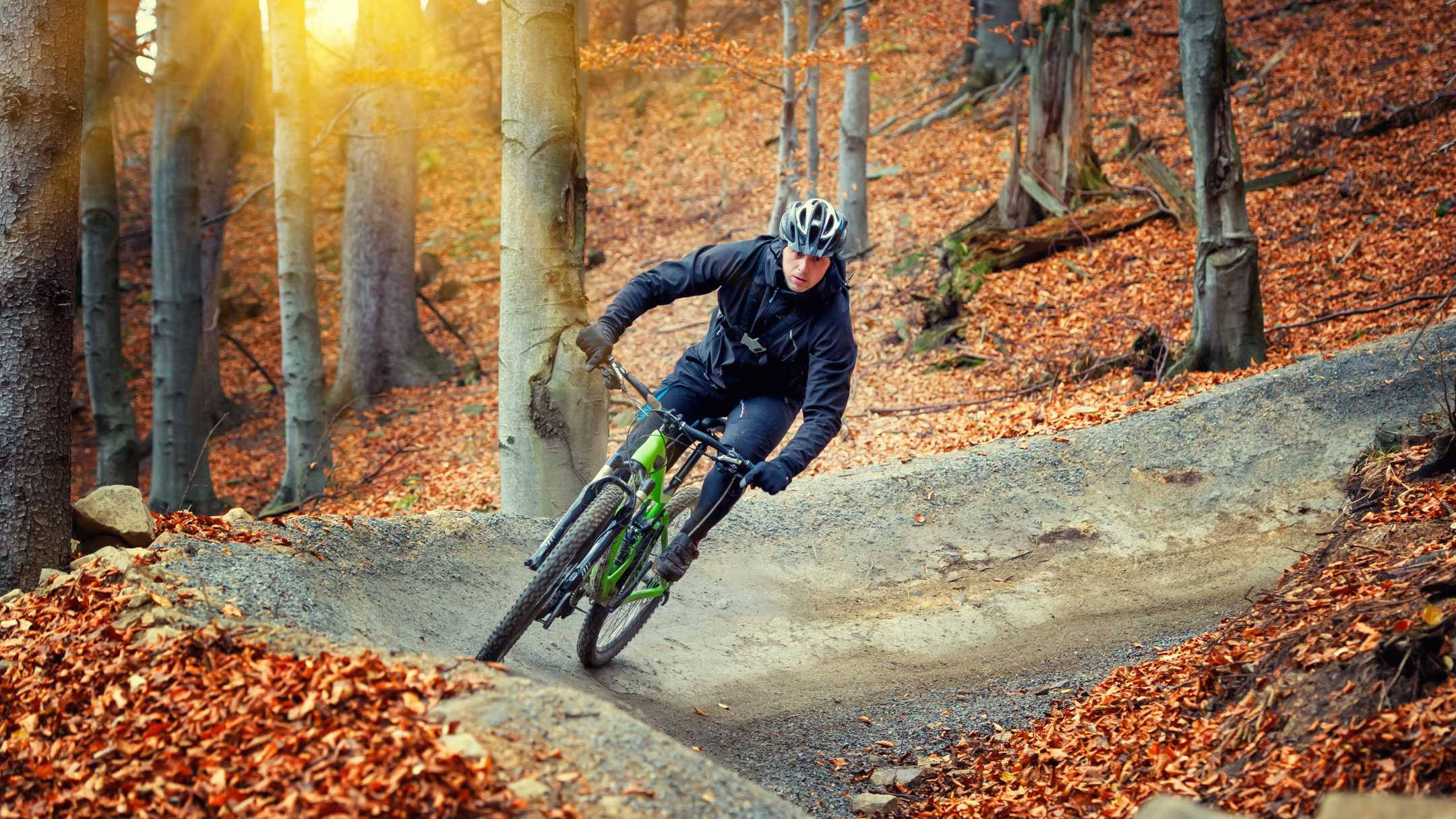 mountain biking, forest trail, golden autumn leaves, Full HD Desktop Wallpaper