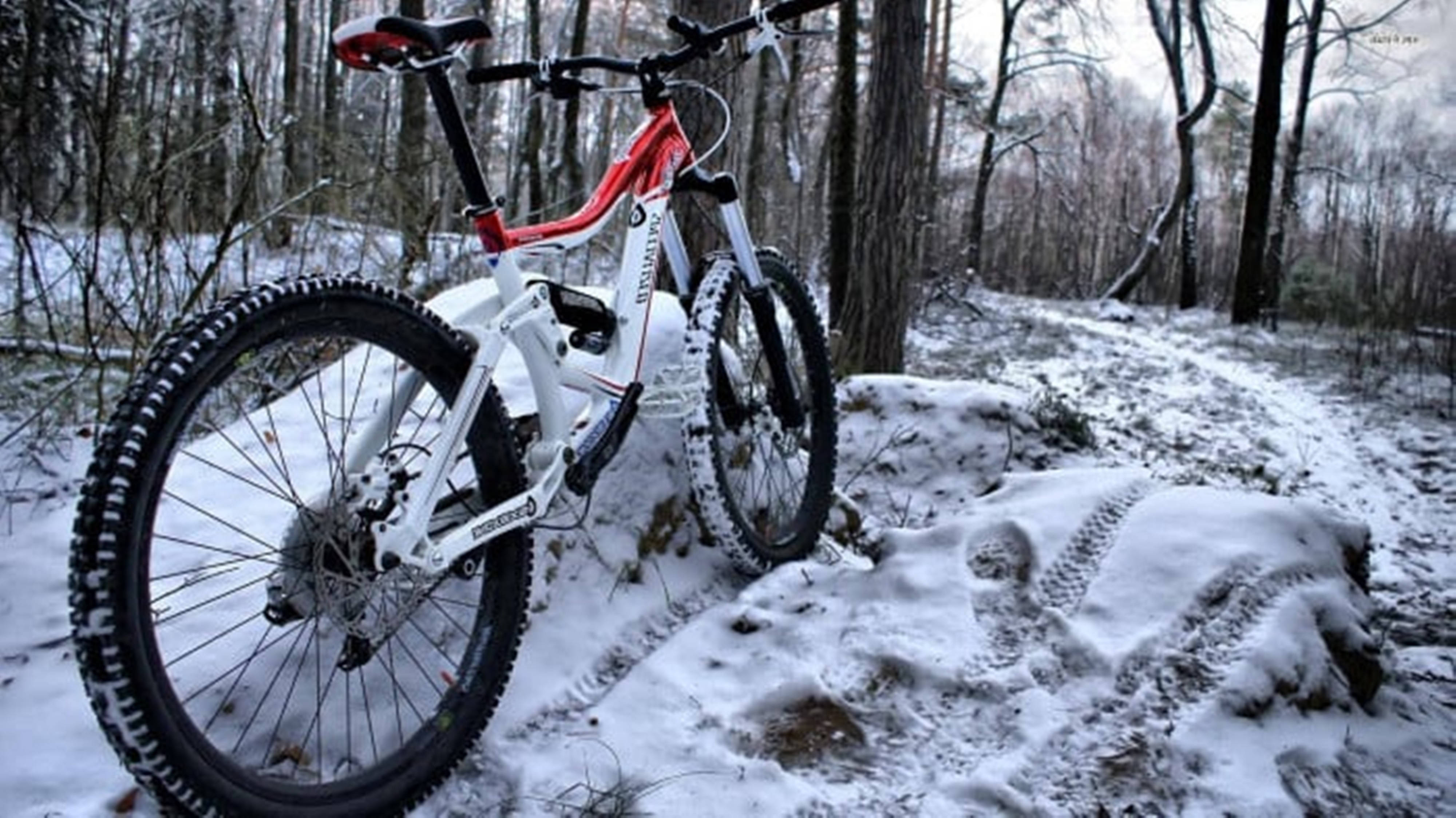 red and white mountain bike, snowy forest trail, tire tracks, 4K Desktop Wallpaper