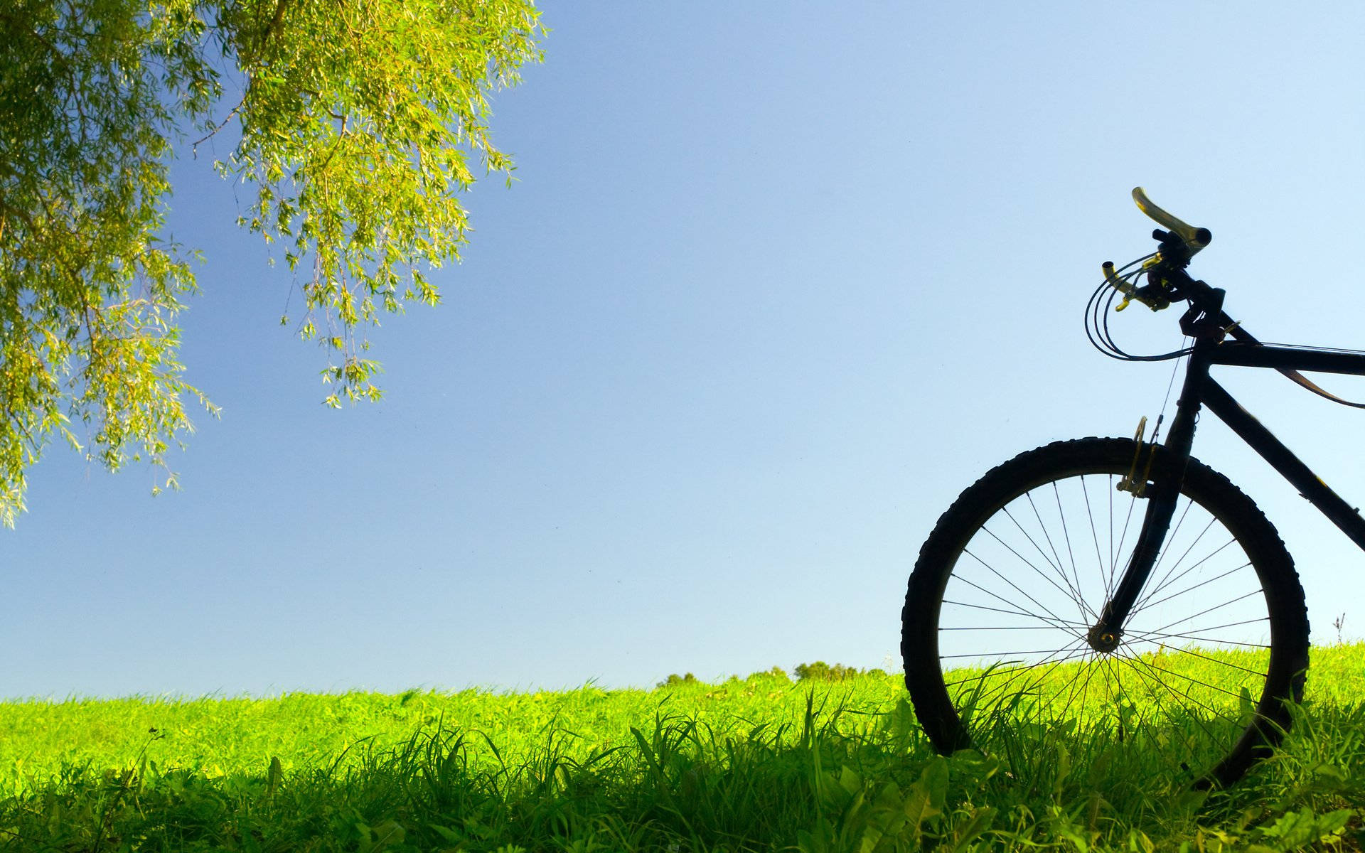 mountain bike, grassy mountain, vibrant green grass, Full HD Desktop Wallpaper