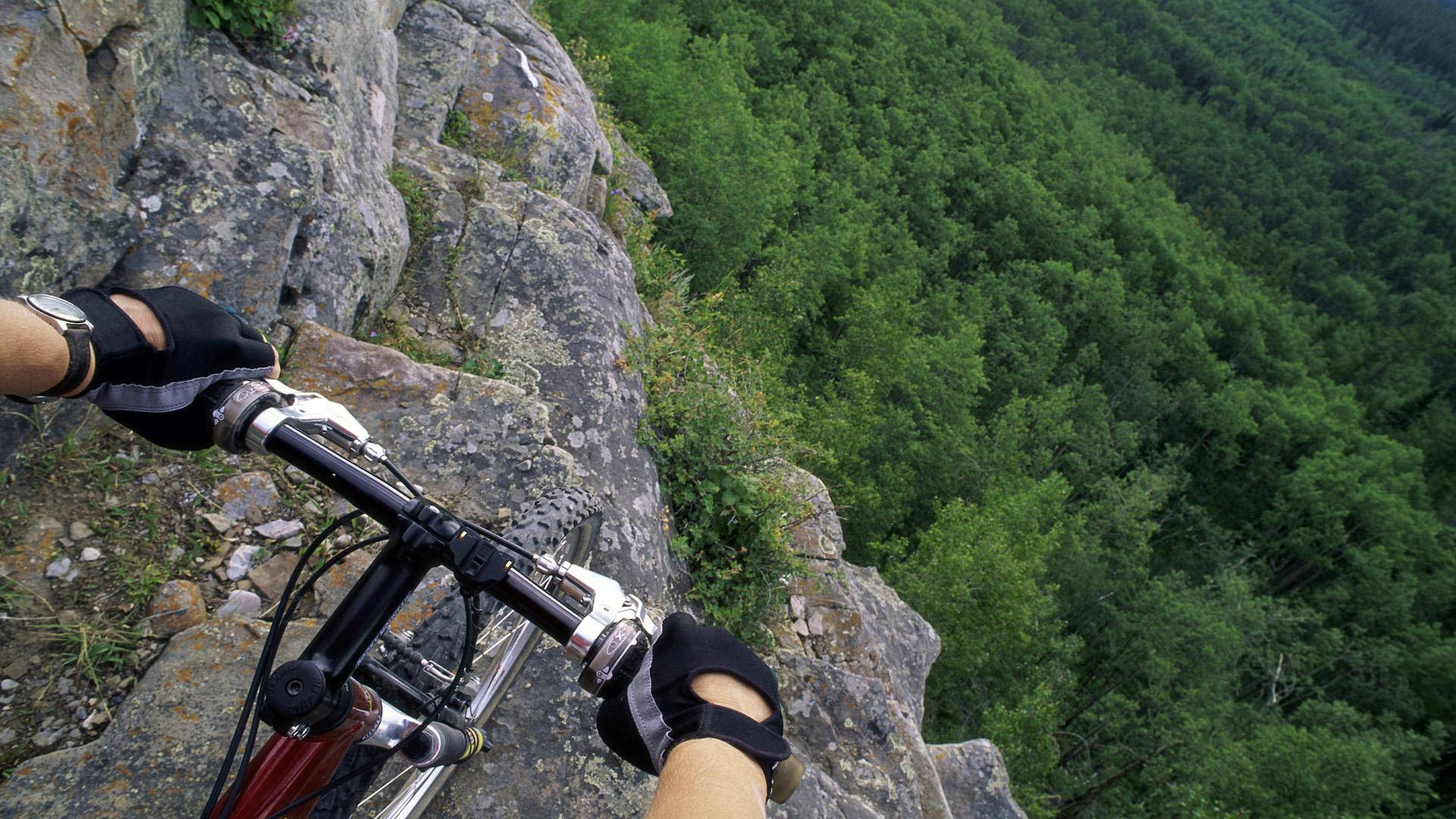 mountain biker, rocky cliff edge, dense green forest, Full HD Desktop Wallpaper