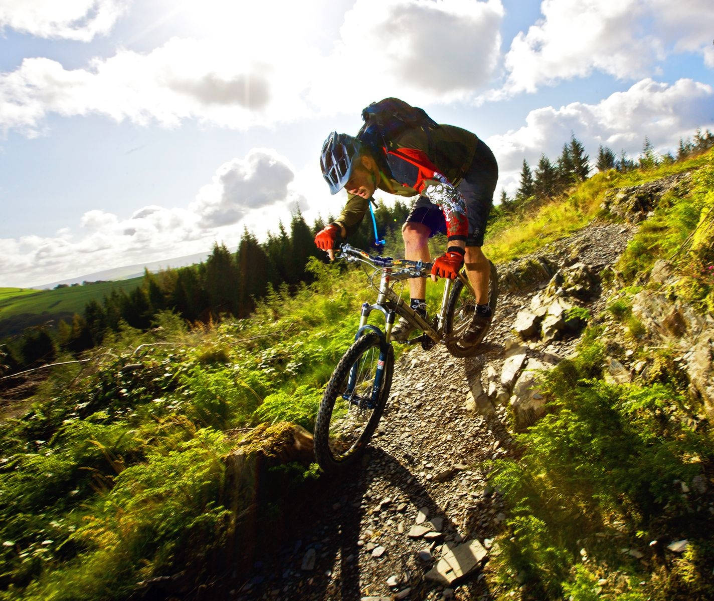 downhill mtb, rocky trail, lush green forest, HD Desktop Wallpaper