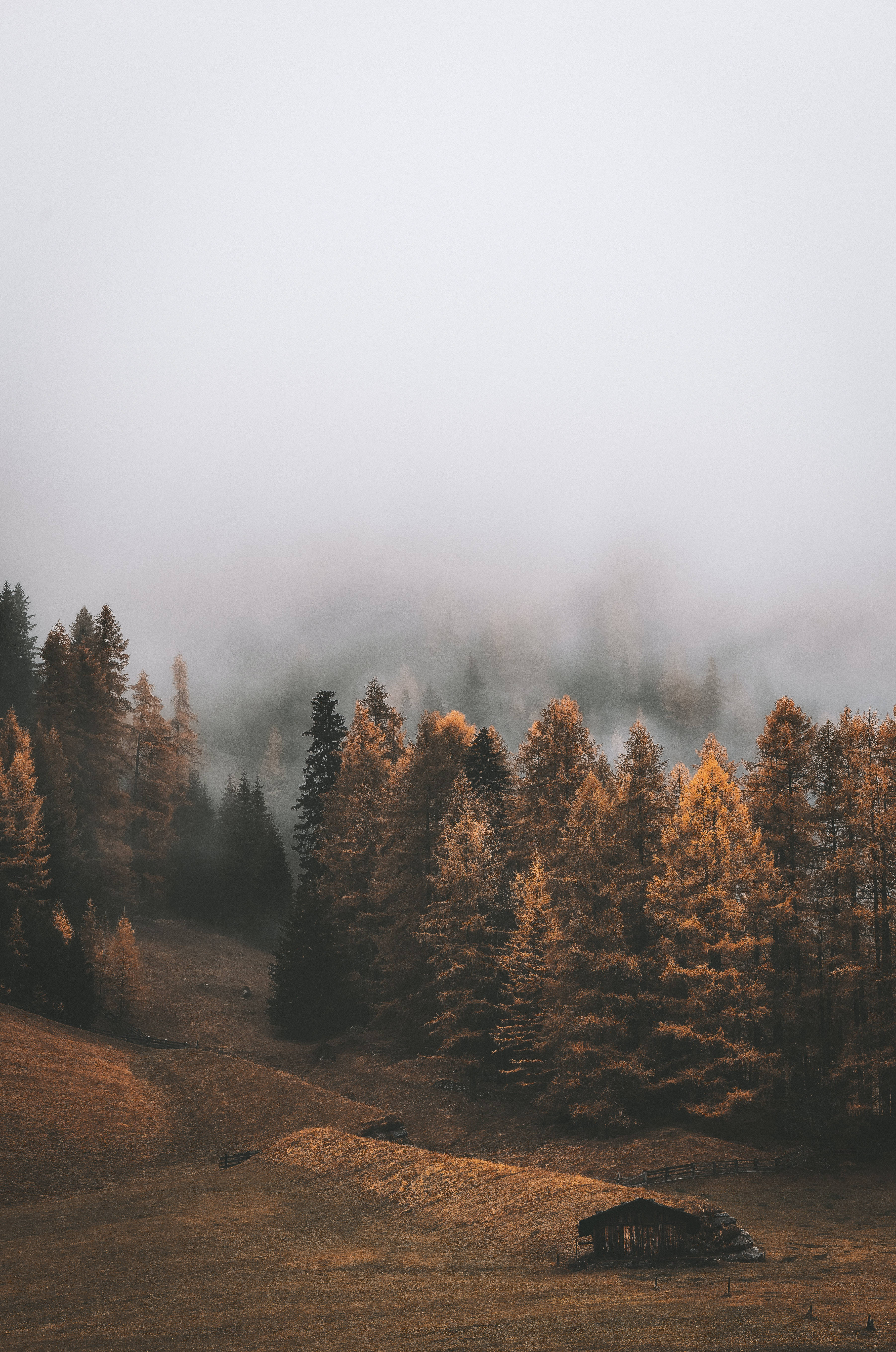 Mountain iPhone, wooden cabin, misty autumn forest, 5K Phone Wallpaper