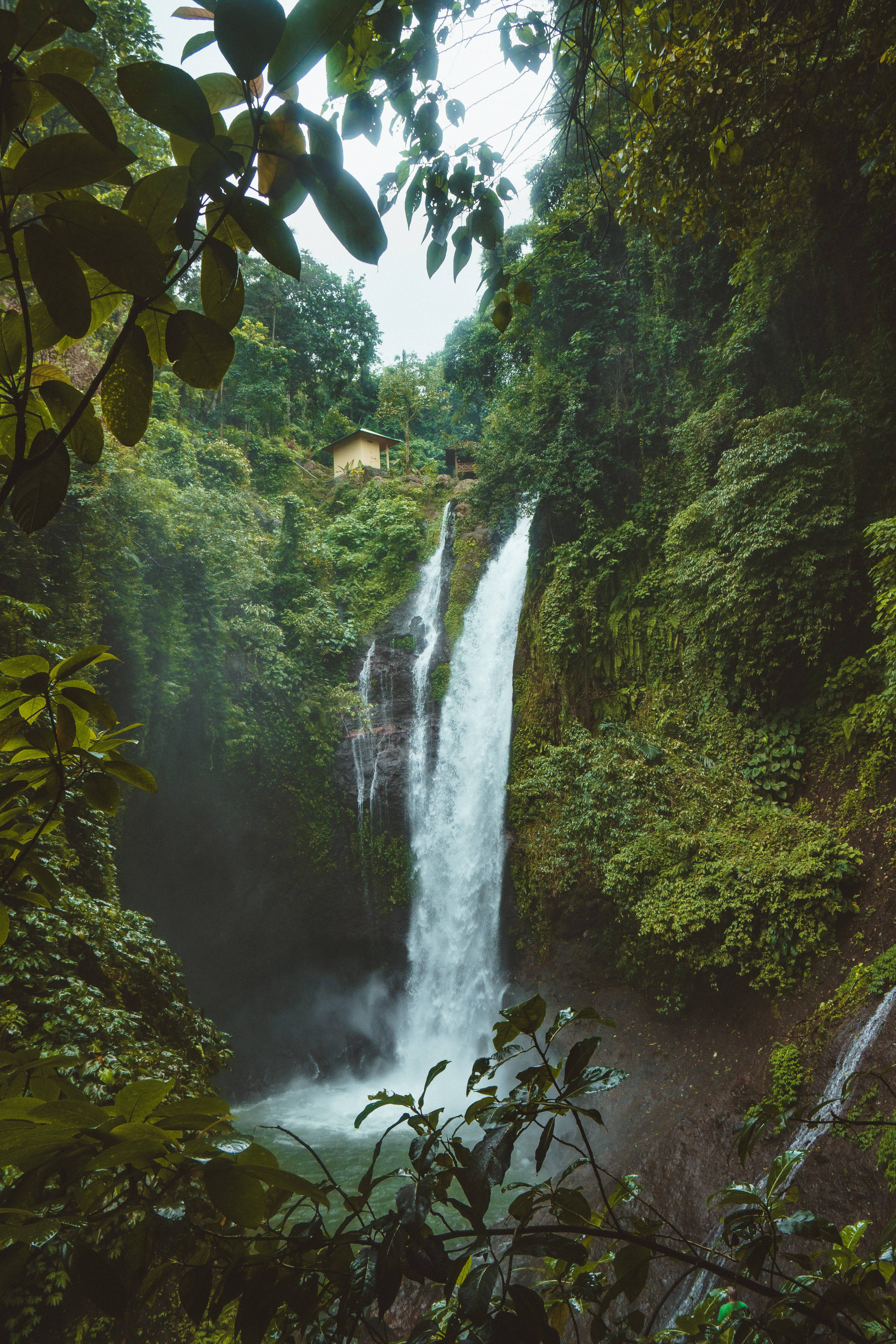 Mountain iPhone, waterfall, lush green jungle, 5K Phone Wallpaper