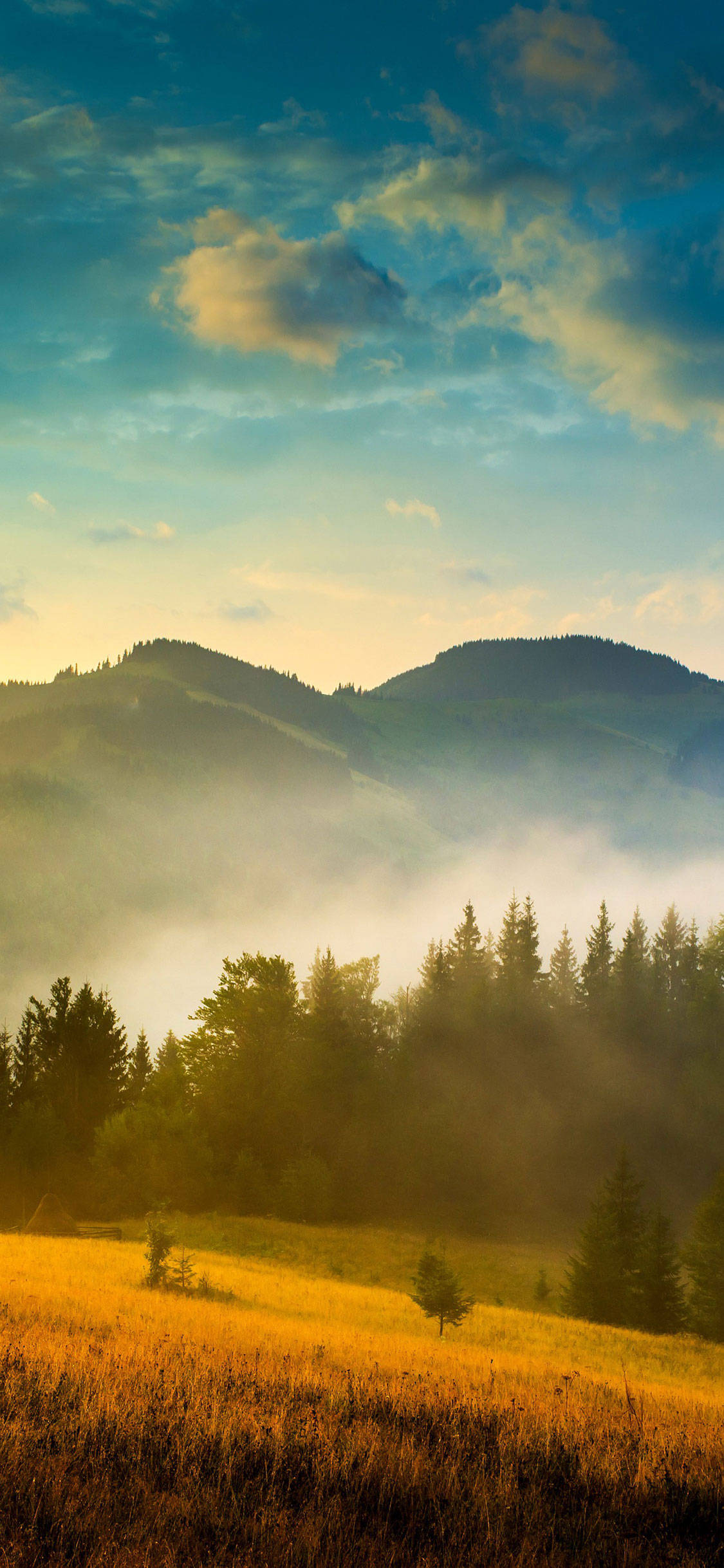 misty mountain valley, rolling hills, evergreen trees, Full HD Phone Wallpaper