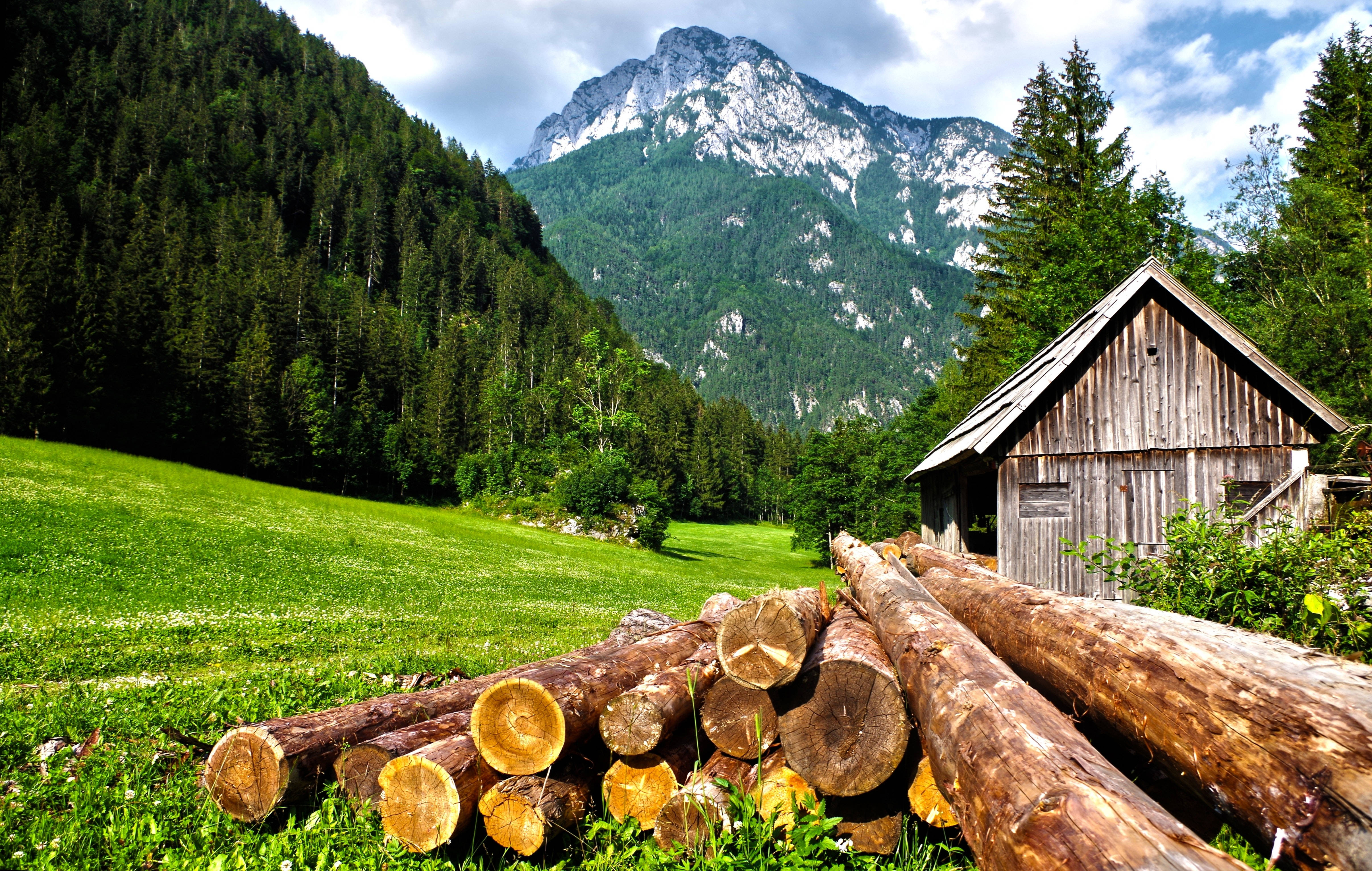 rustic wooden cabin, freshly cut logs, vibrant green meadow, 4K Desktop Wallpaper