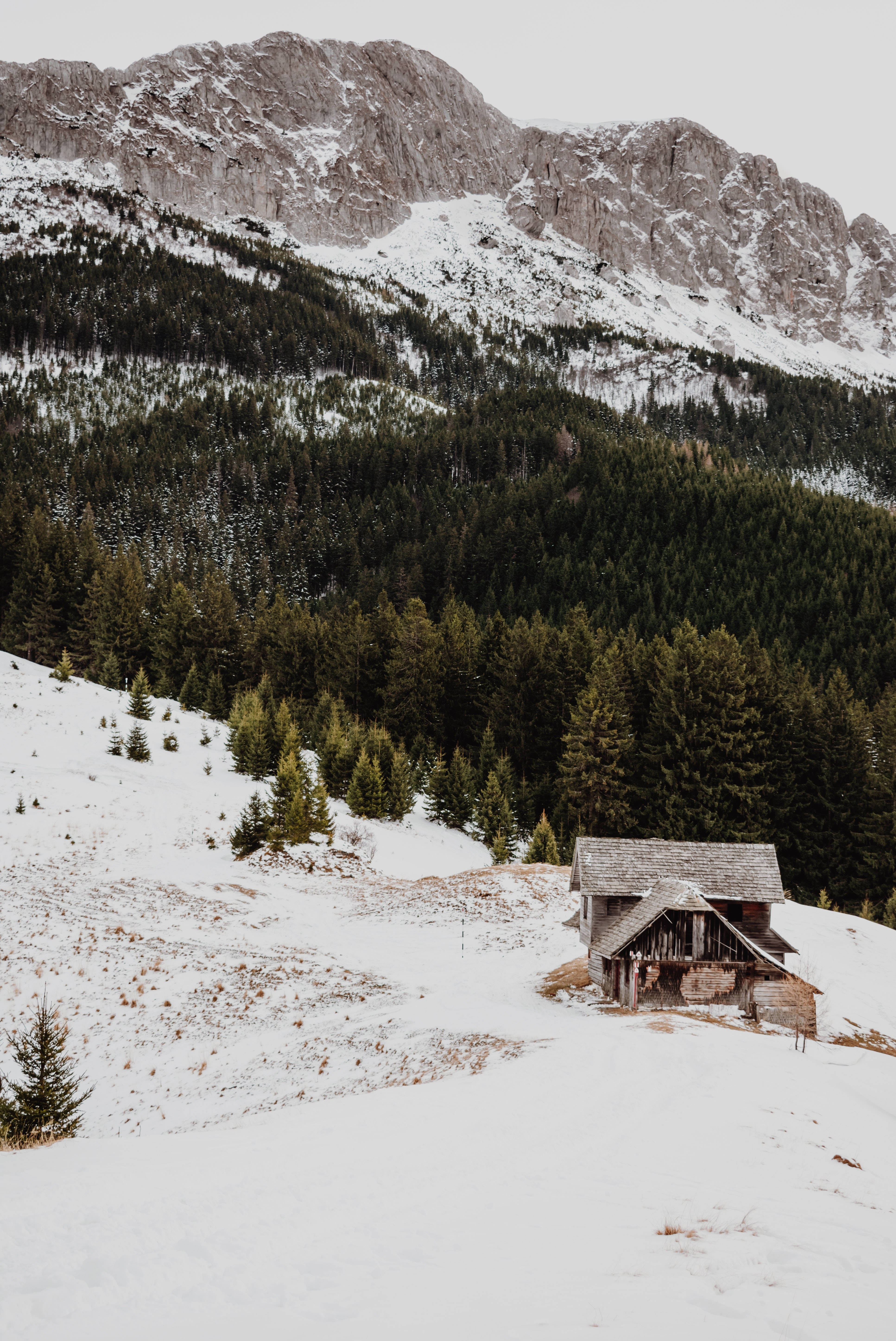 wooden cabin, snowy mountain valley, evergreen forests, 5K Phone Wallpaper