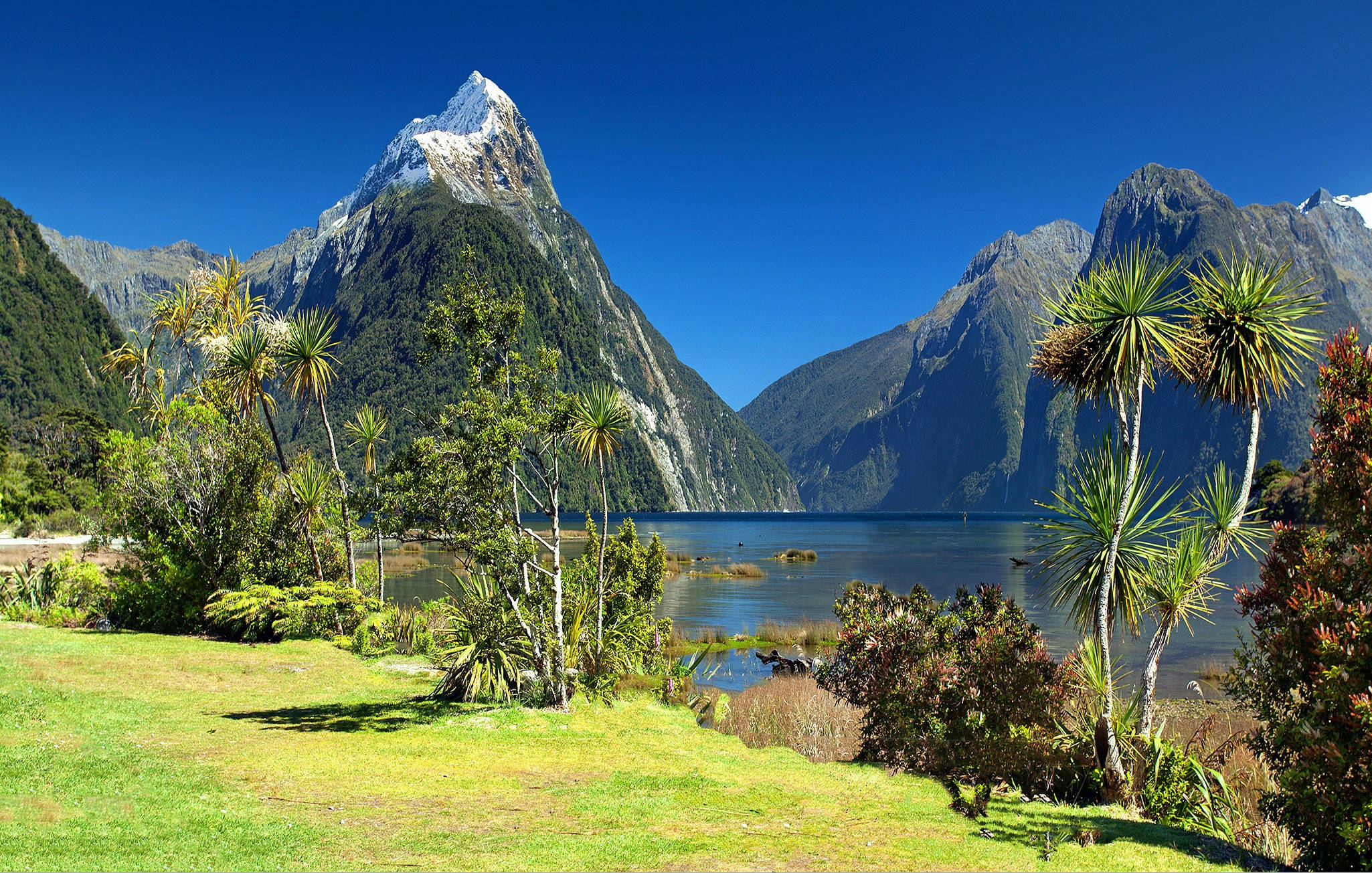 Mountain iPhone, vibrant green meadow, calm blue fjord, Full HD Desktop Wallpaper