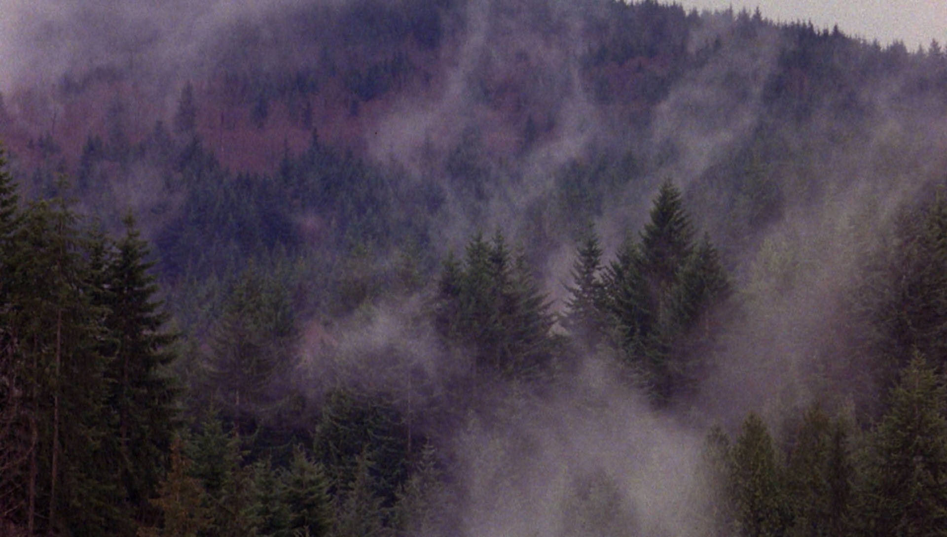 twin peaks, evergreen trees, swirling gray fog, Full HD Desktop Wallpaper