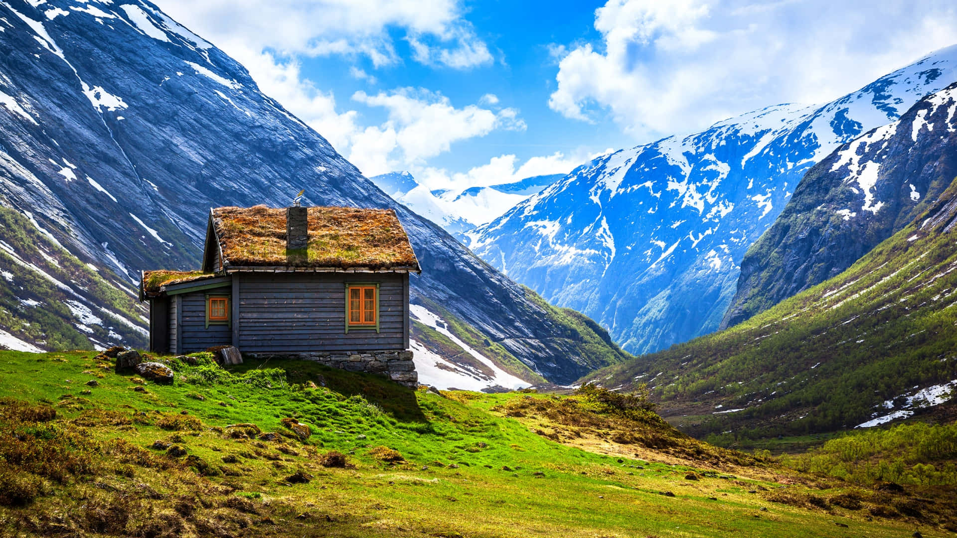 rustic wooden cabin, mossy roof, vibrant green hillside, Full HD Desktop Wallpaper