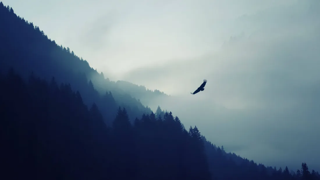 Mountain Scenes