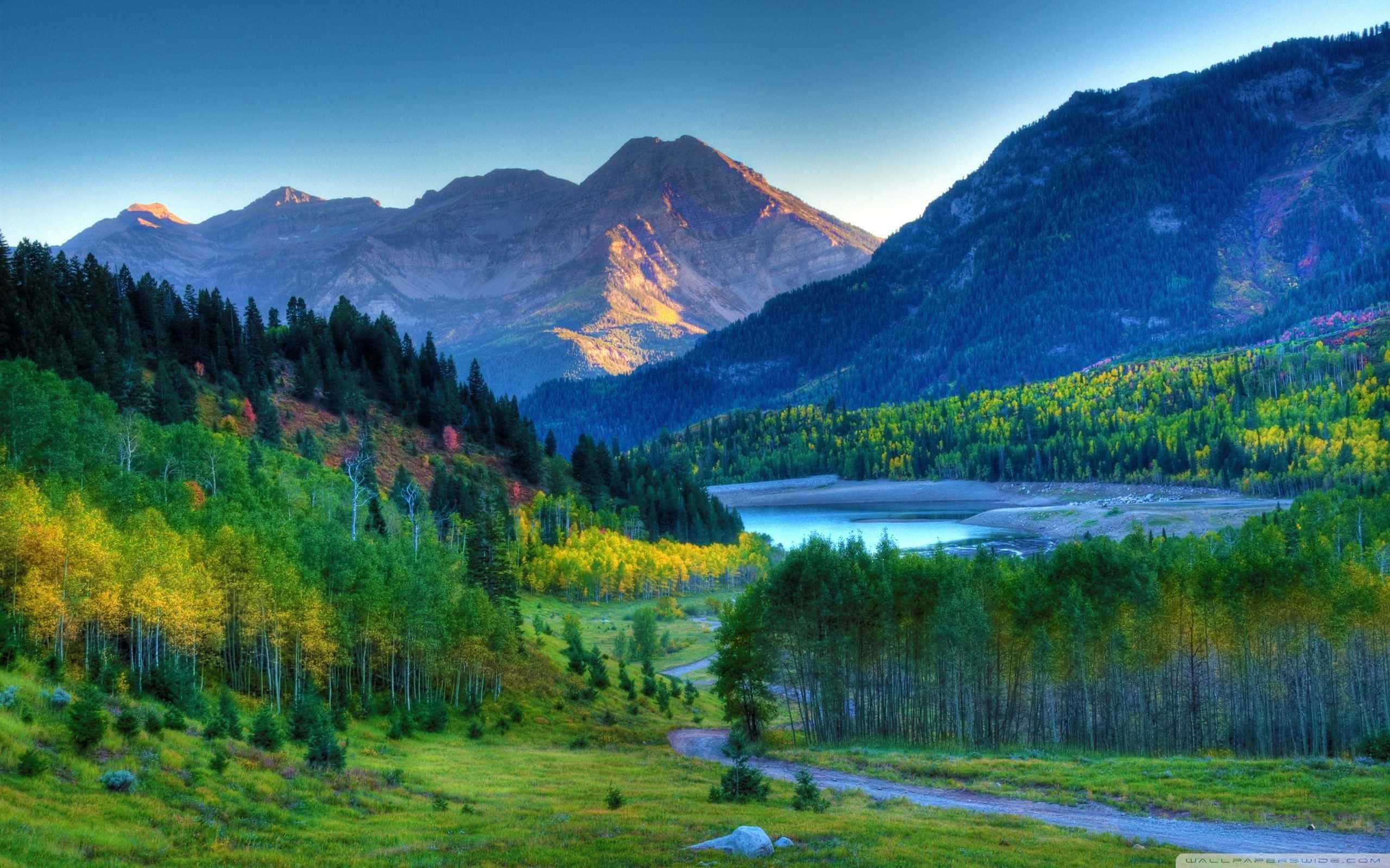 mountain road, trees, mountains, 2K Desktop Wallpaper