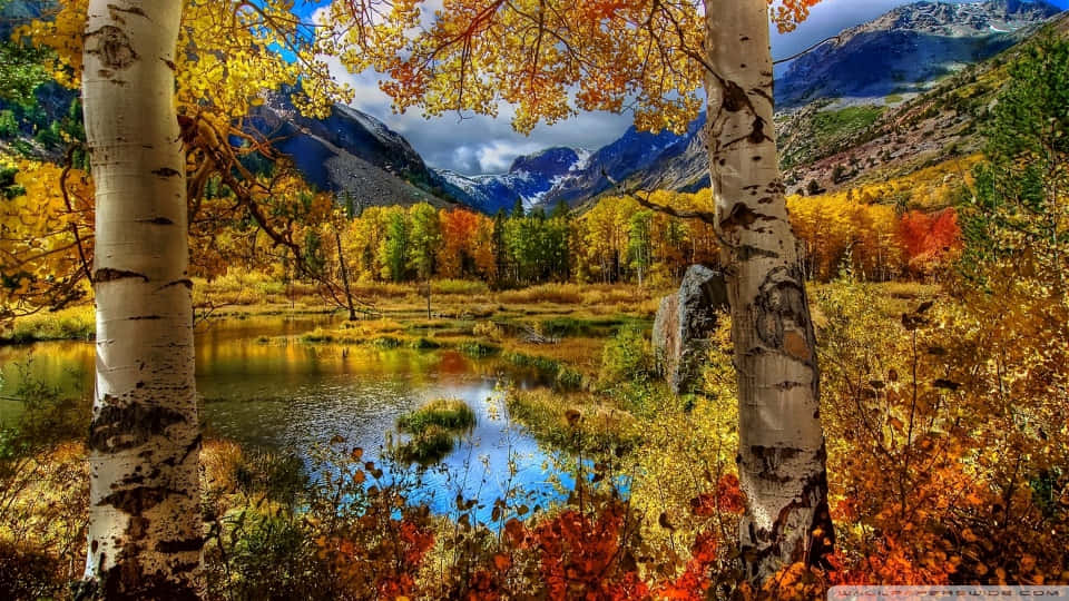 Mountain paradise, autumn valley, calm pond, SD Desktop Wallpaper