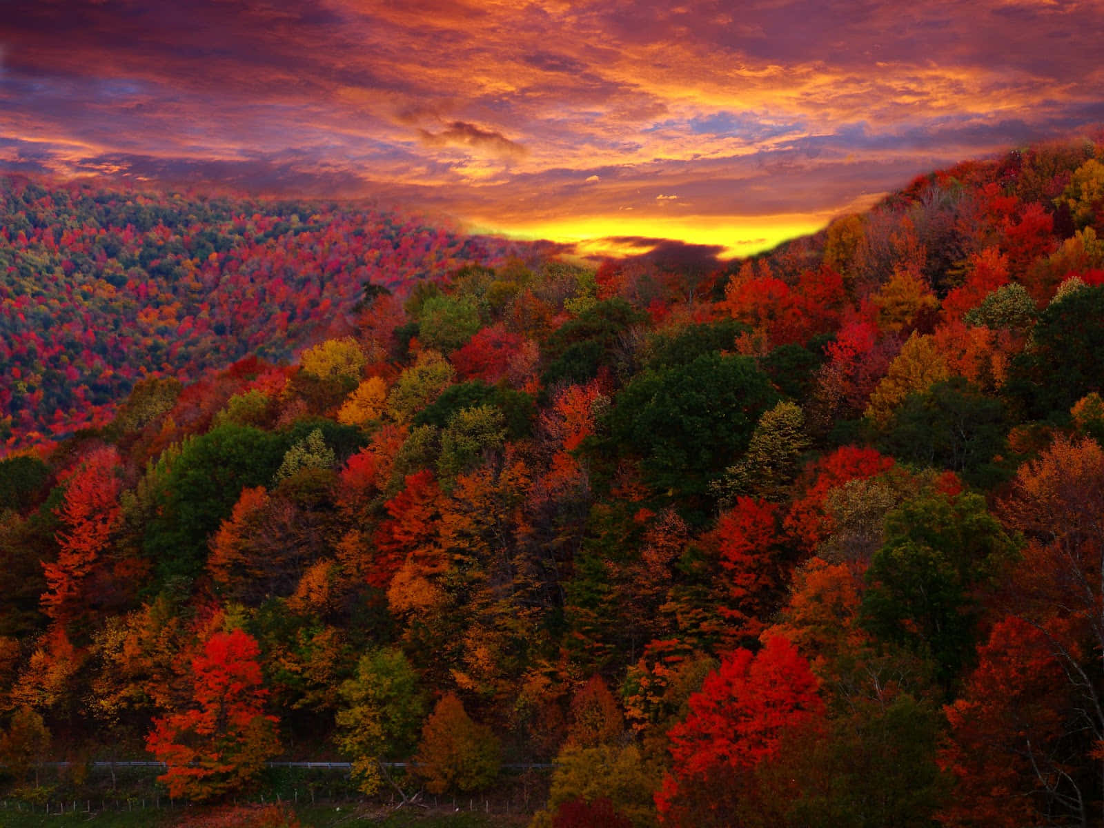 autumn valley, sunset, fiery red orange and gold foliage, HD Desktop Wallpaper