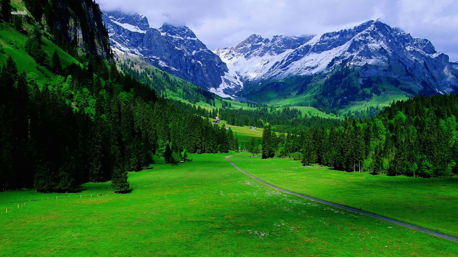 mountain scenes, winding road, lush green valley, Full HD Desktop Wallpaper