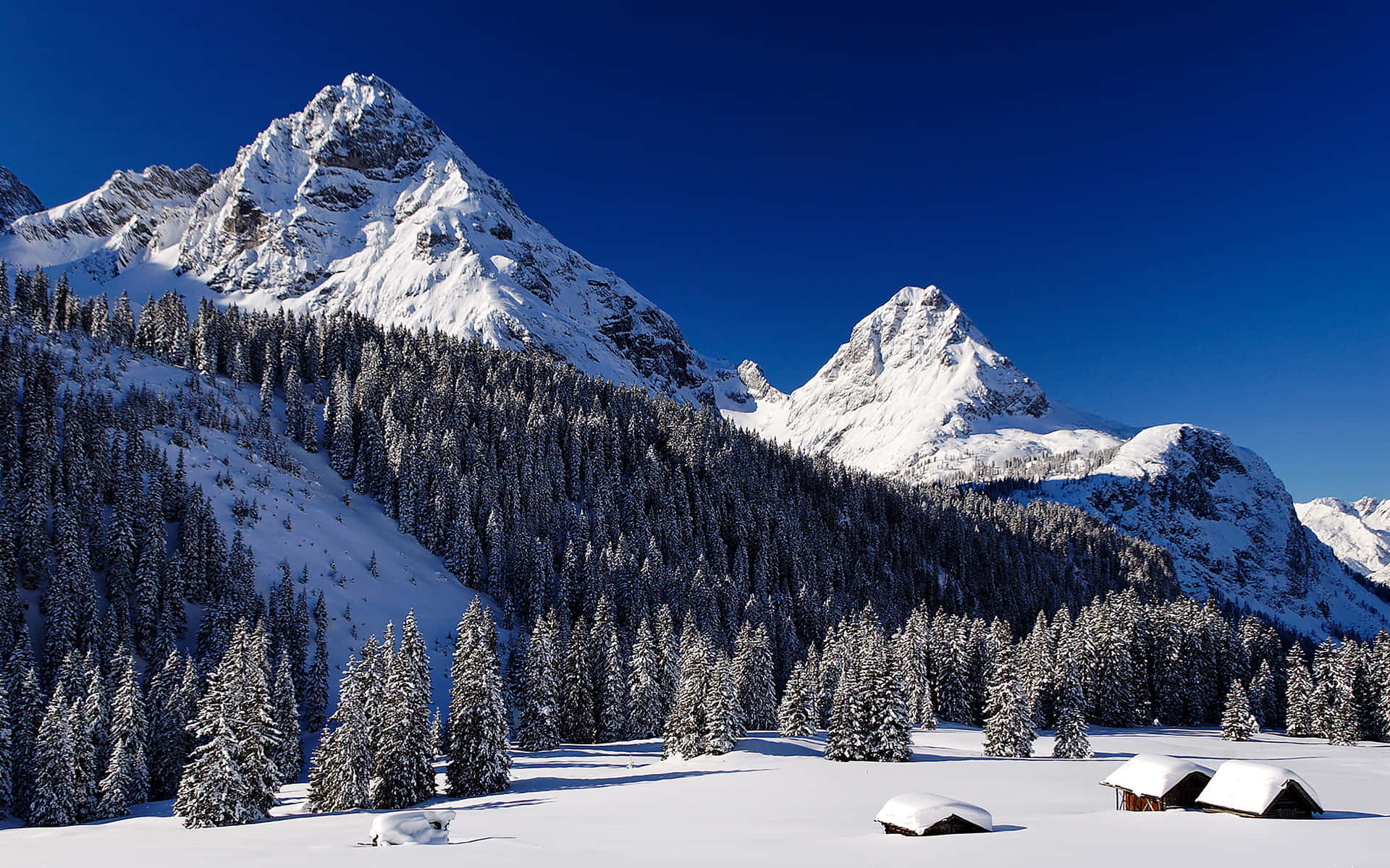 snow-capped mountain, deep blue sky, forest of snow-laden evergreens, Full HD Desktop Wallpaper