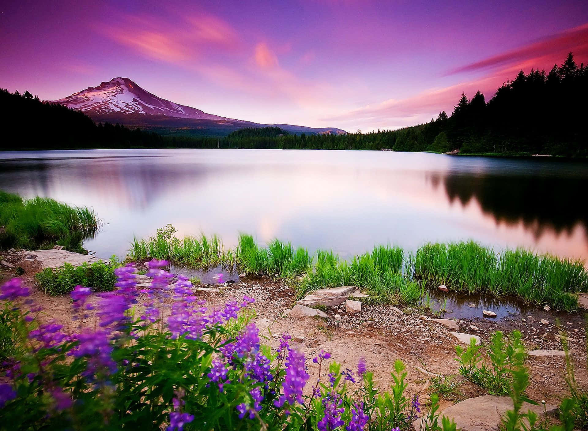 mountains, lakeshore, snowcapped mountain, Full HD Desktop Wallpaper