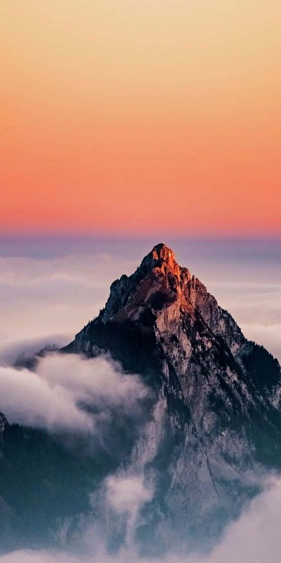 Mountain Sunset, jagged mountain peak, sea of clouds, SD Phone Wallpaper
