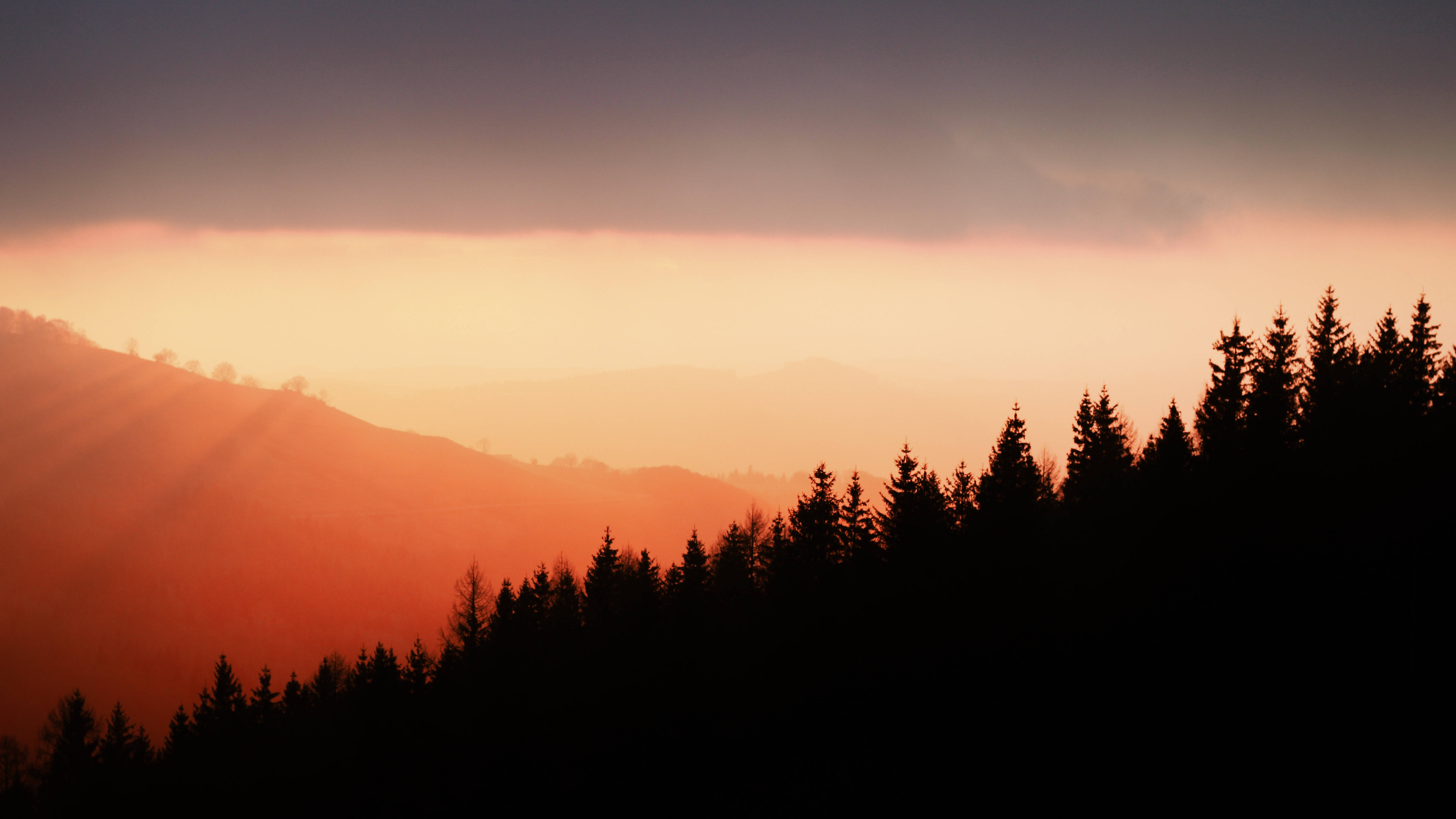 Mountain range, Pine trees, Sunlight, 5K Desktop Wallpaper