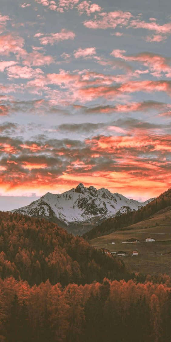 Mountain Sunset, snowcapped mountain peak, autumn forests, SD Phone Wallpaper