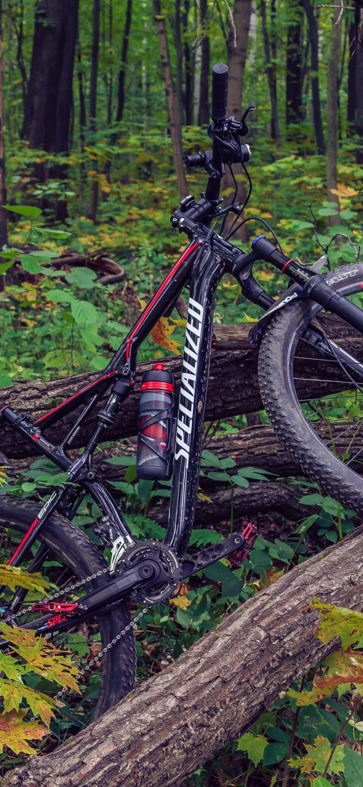 mountain bike, iPhone, forest, 2K Phone Wallpaper