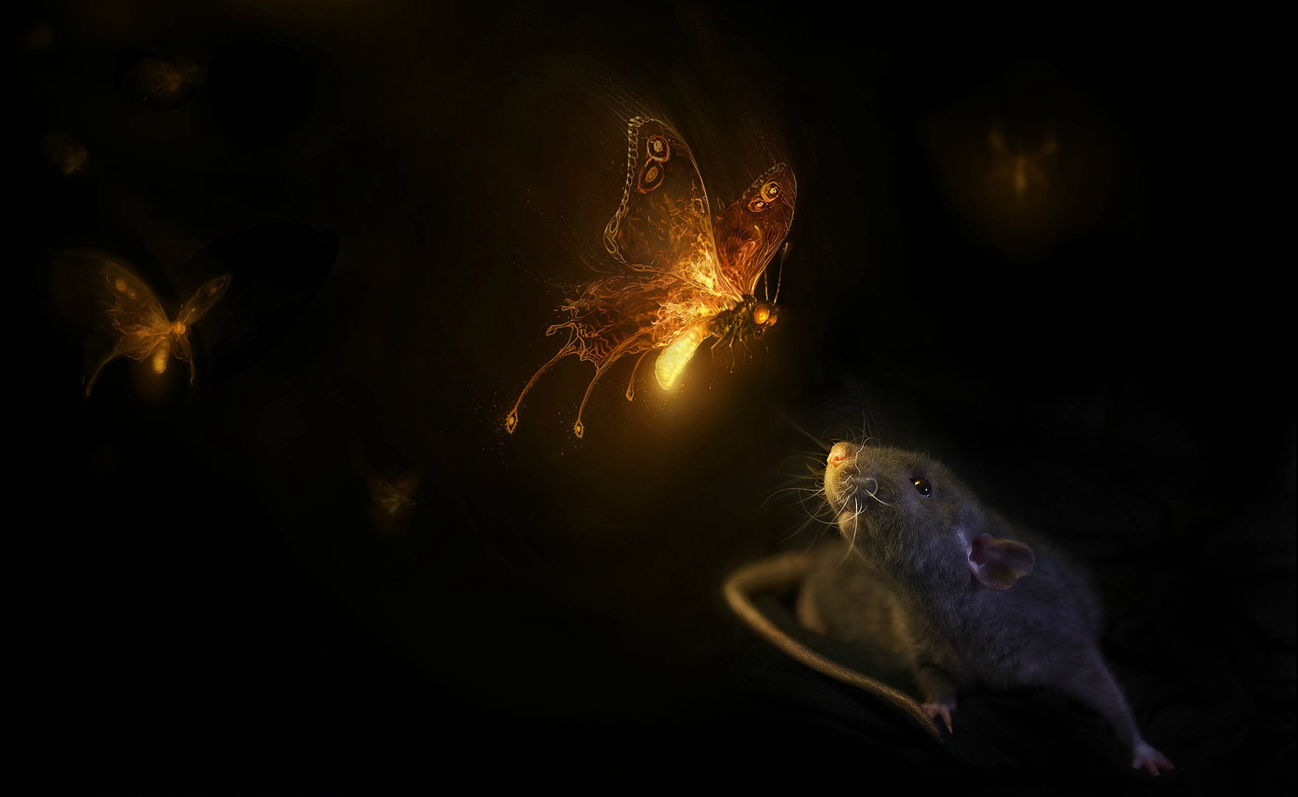 Mouse, glowing golden butterfly, dark, 2K Desktop Wallpaper