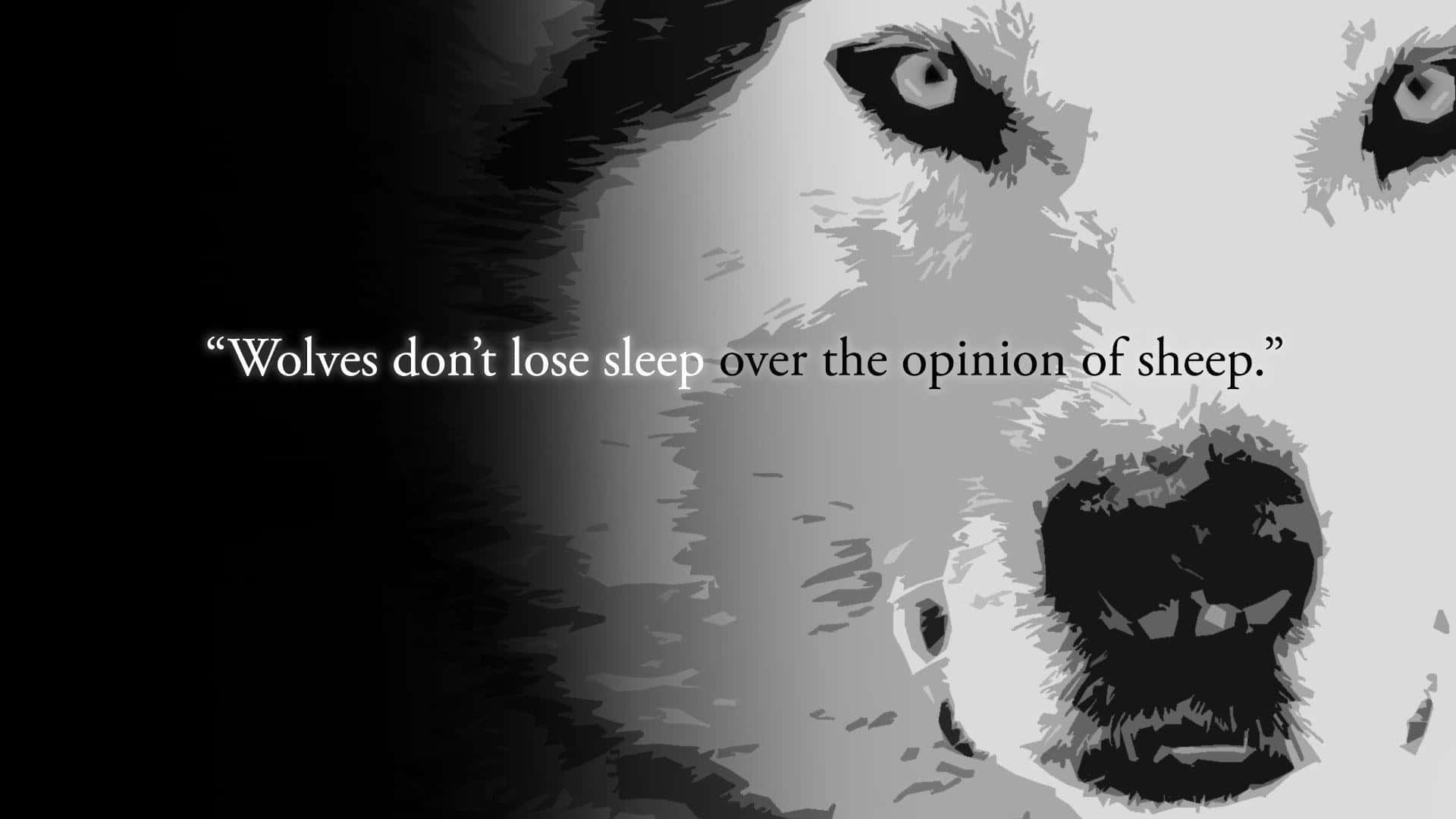 wolf, black and white, intense eyes, Full HD Desktop Wallpaper