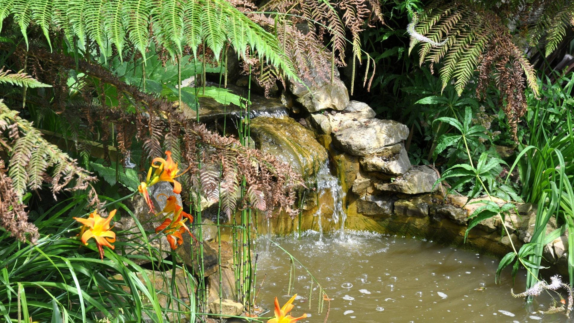 Moving Desktop, garden, waterfall, Full HD Desktop Wallpaper
