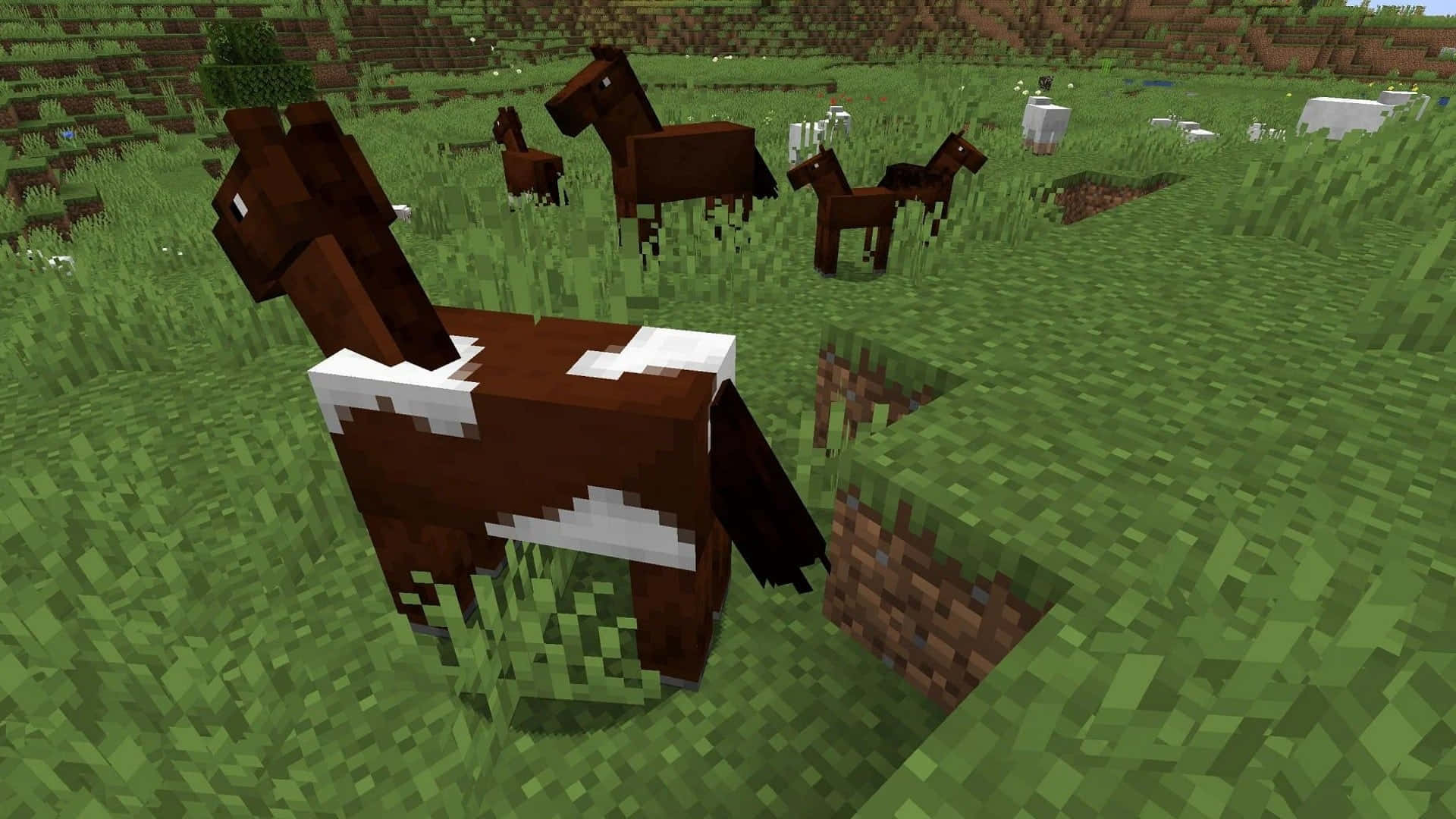 Minecraft, horses, blocky, Full HD Desktop Wallpaper