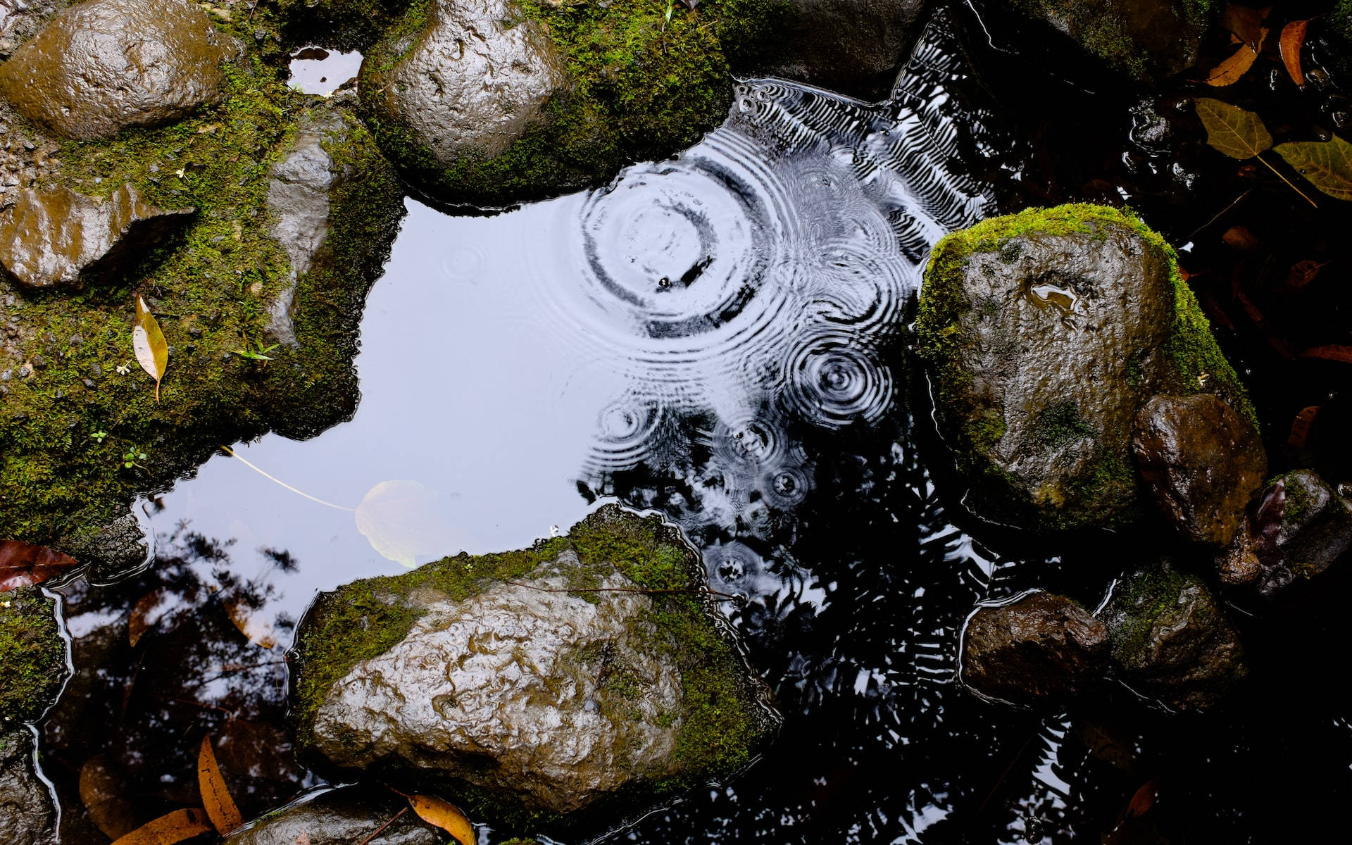 Moving Water, slick rocks, raindrops, Full HD Desktop Wallpaper