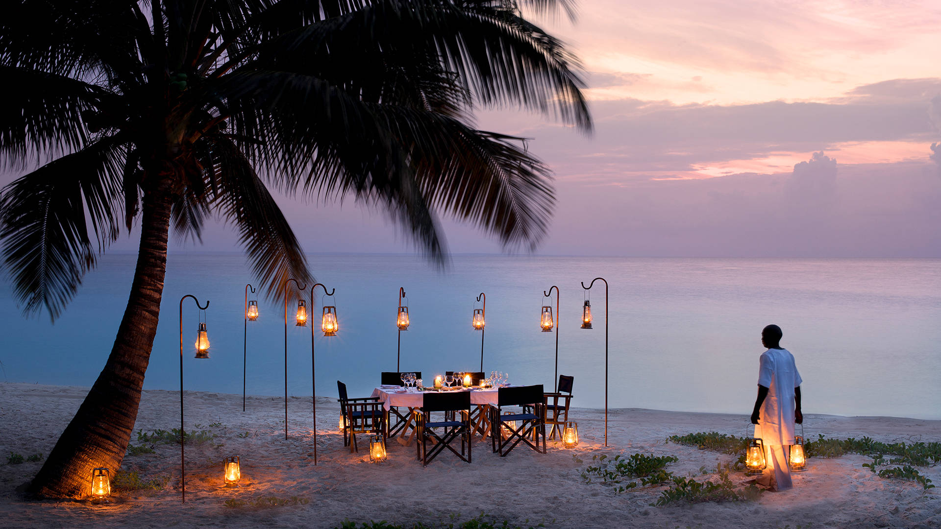 Mozambique, twilight, palm tree, Full HD Desktop Wallpaper