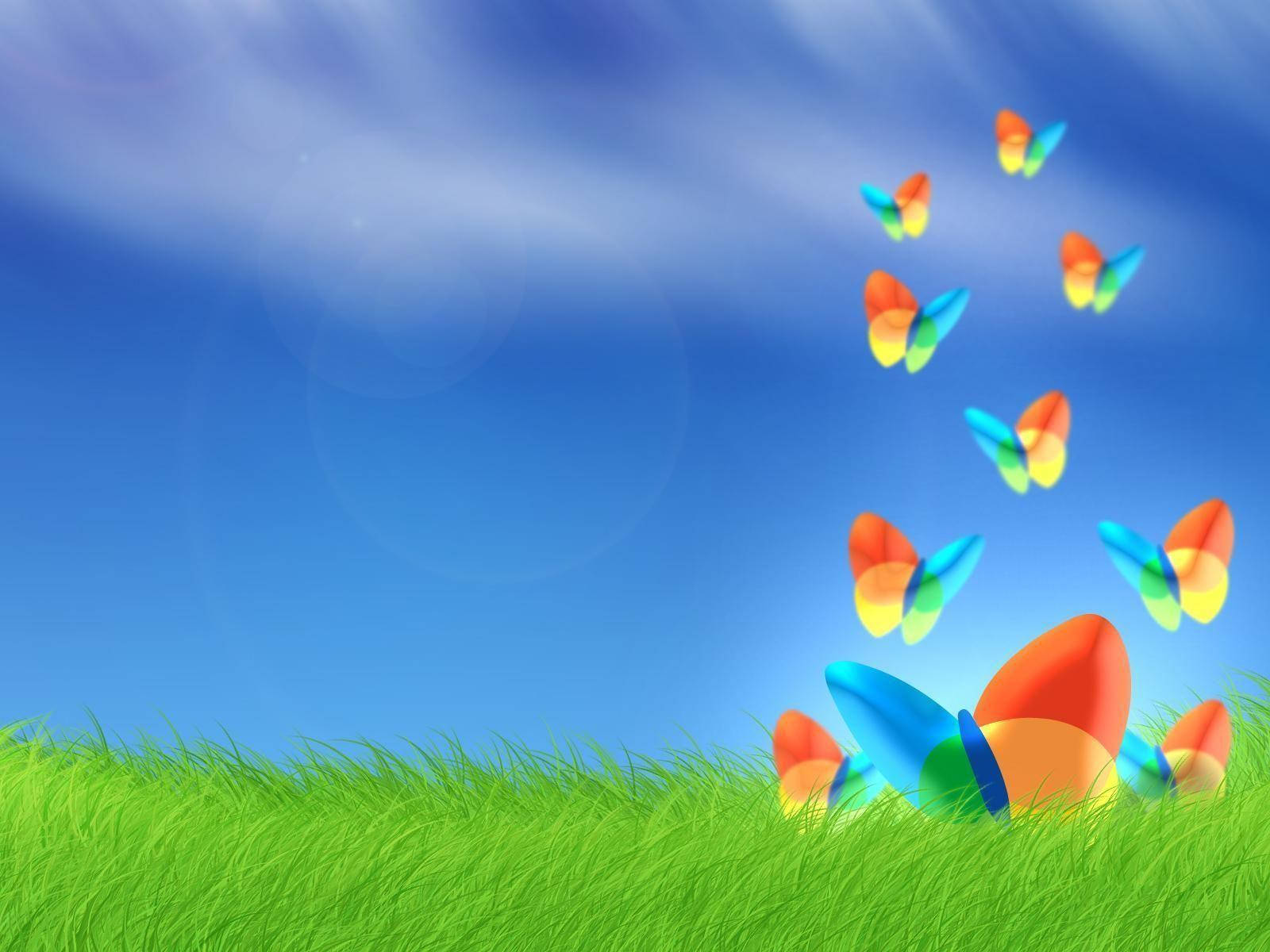 MSN, butterflies, grassy field, HD Desktop Wallpaper