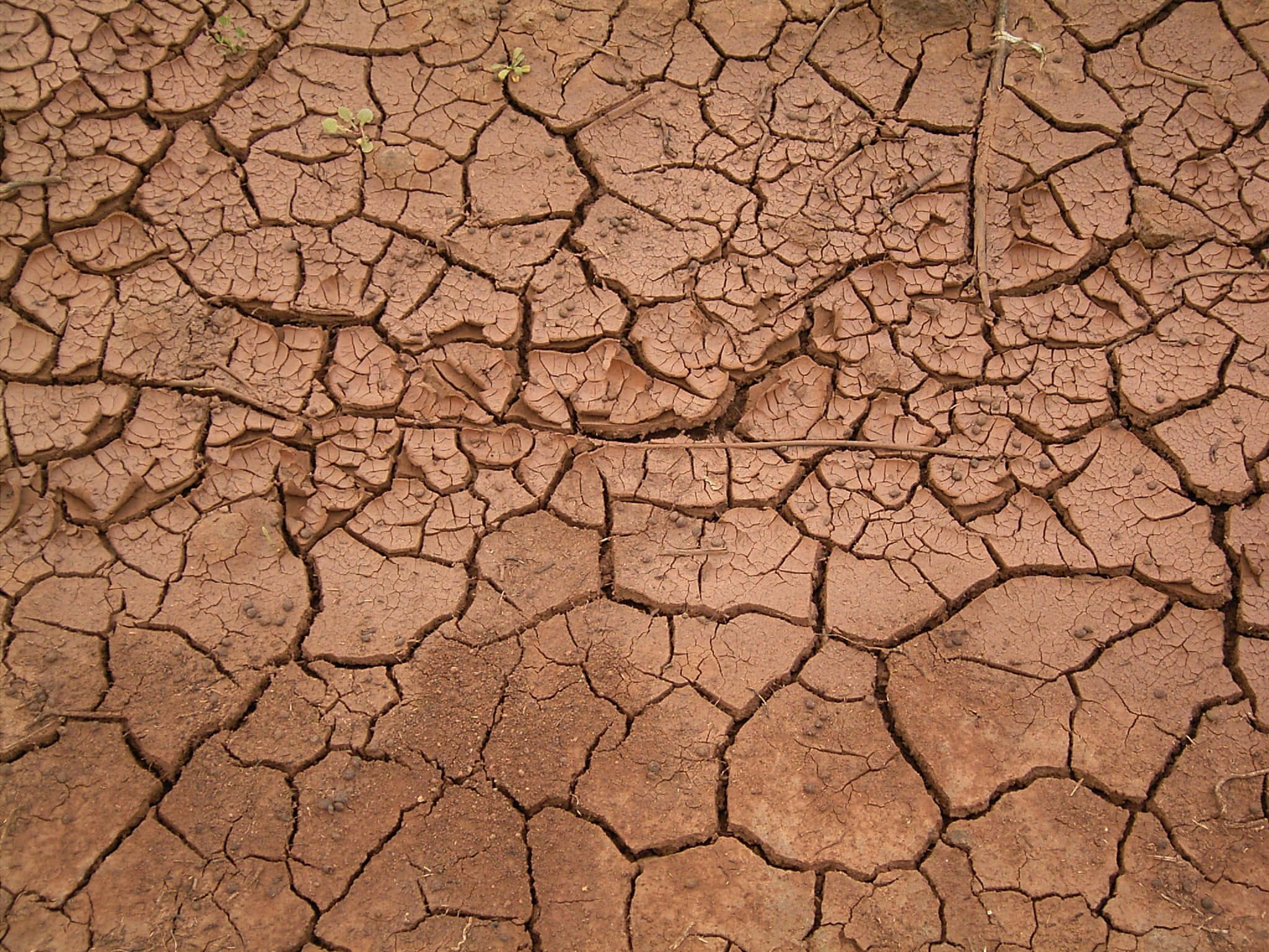 dried mud cracks, volcanic ashes, parched reddish-brown earth, Full HD Desktop Wallpaper
