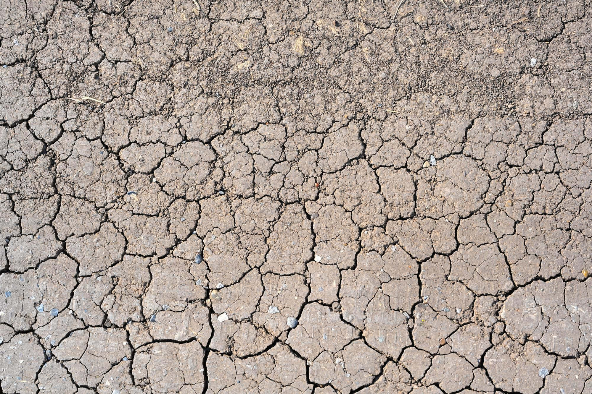 dry mud, cracked ground, drought, Full HD Desktop Wallpaper