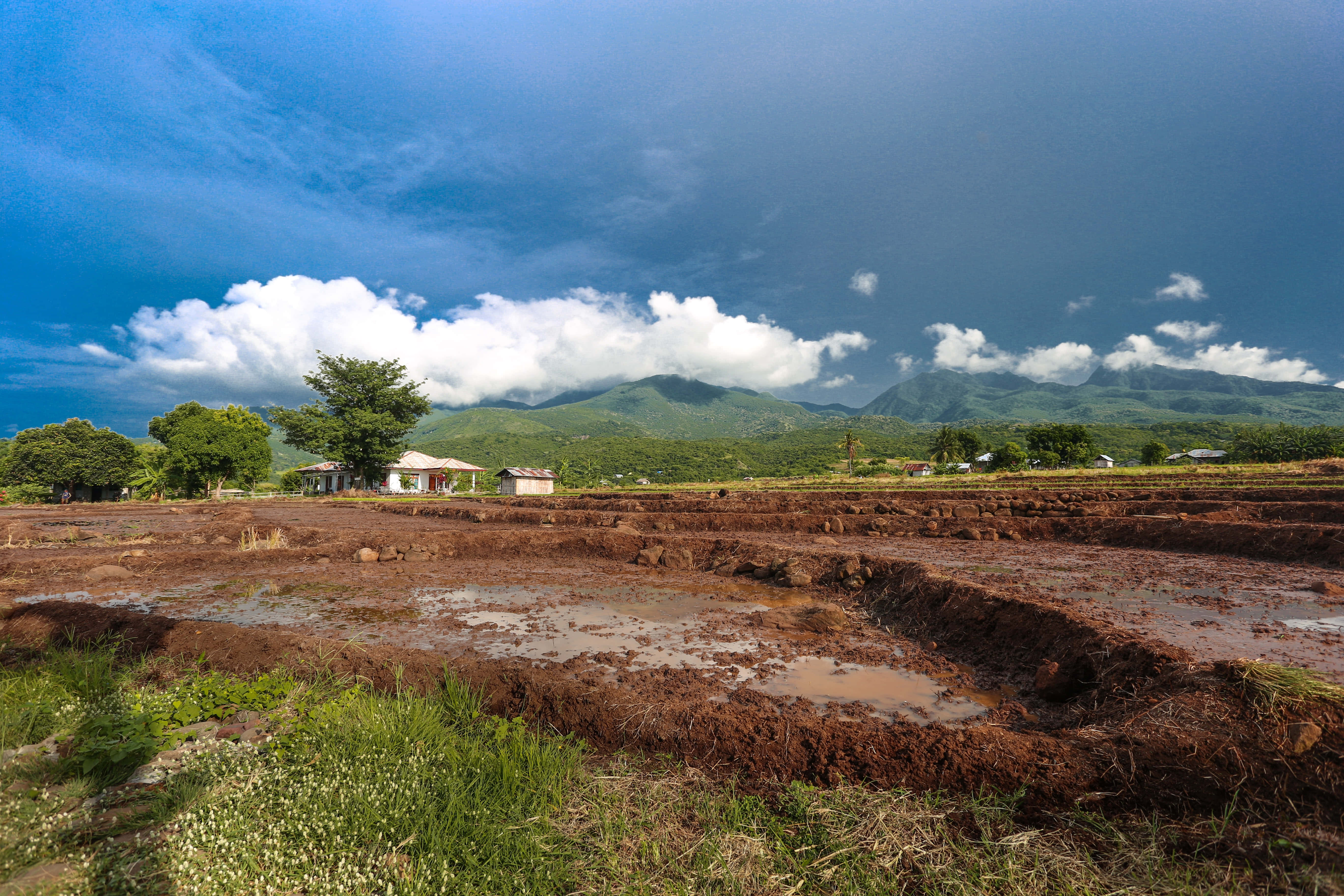 grass field, mud puddle, wet land, 5K Desktop Wallpaper