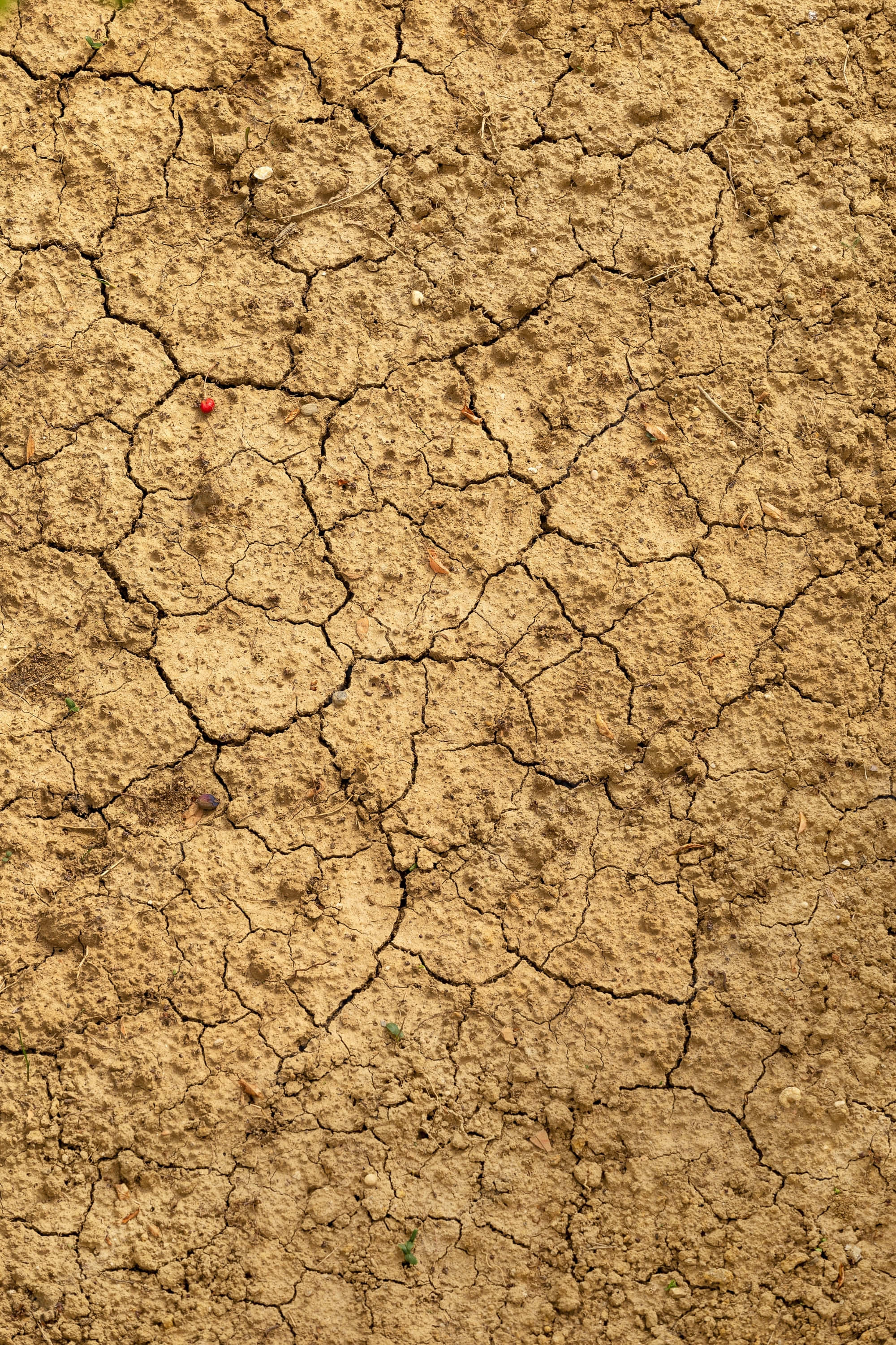 cracked dry mud, parched earth, deep cracks, 2K Phone Wallpaper